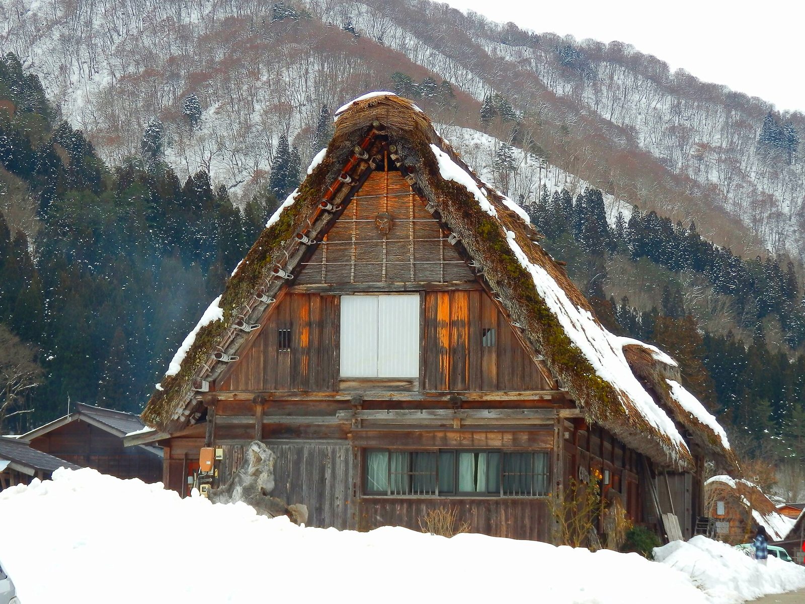 白川郷1月はライトアップ抽選制｜次回1/11・17・24・31開催・平均最高2.9℃の服装と日帰り可否