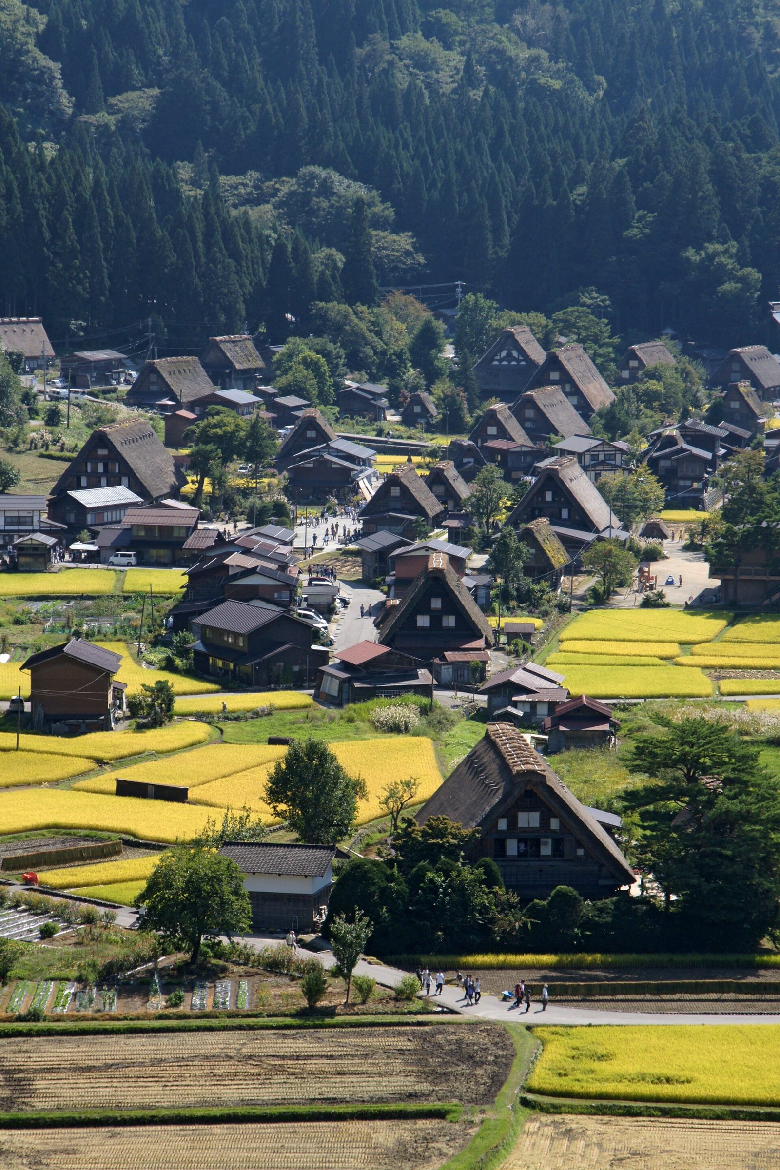 白川郷は雨の日どう回る?和田家・神田家・明善寺の屋内見学と白川郷の湯で組む1日