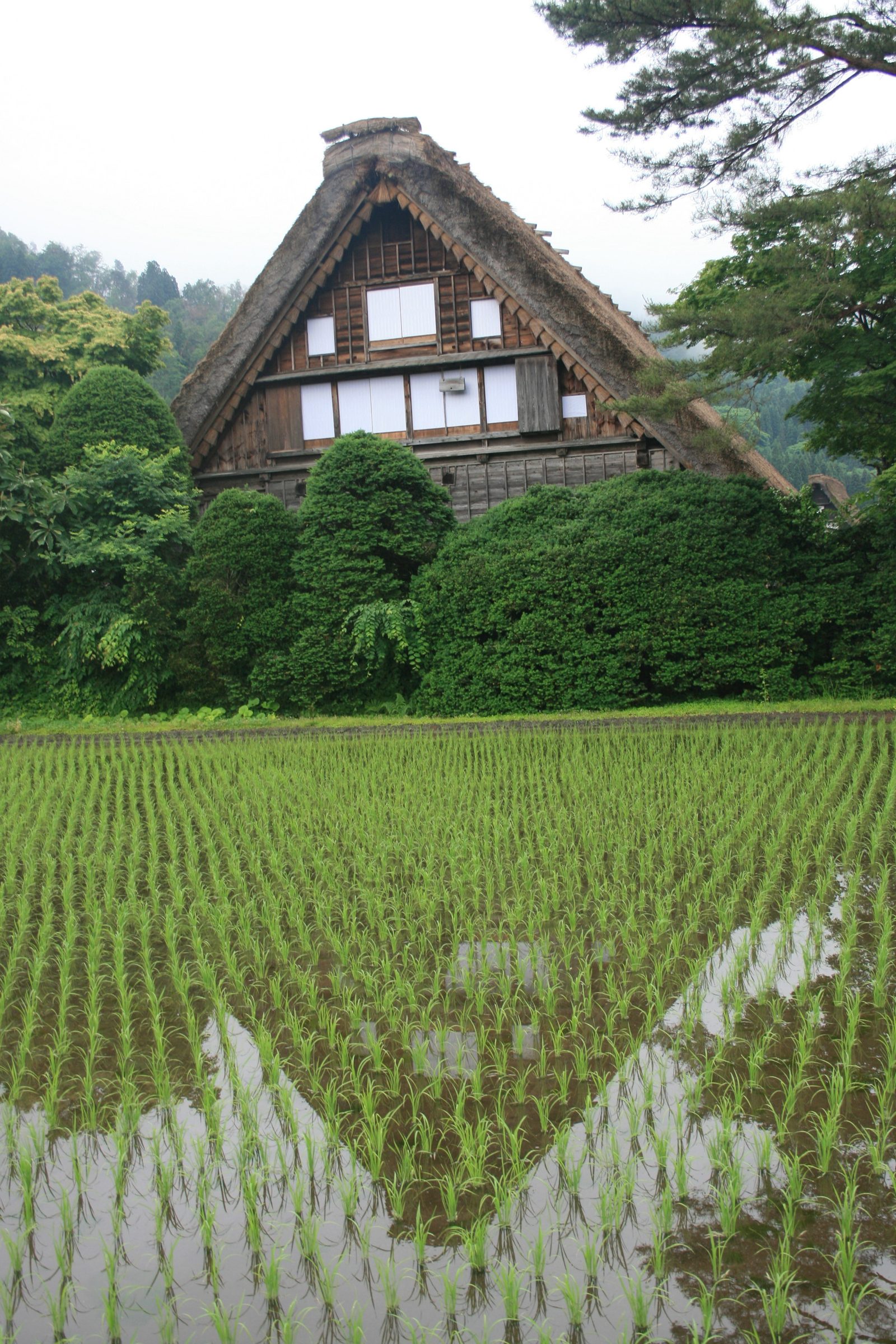白川郷旅行の費用｜高山から往復4,600円・和田家400円・合掌造り民宿の相場を1泊2日と2泊3日の内訳表で