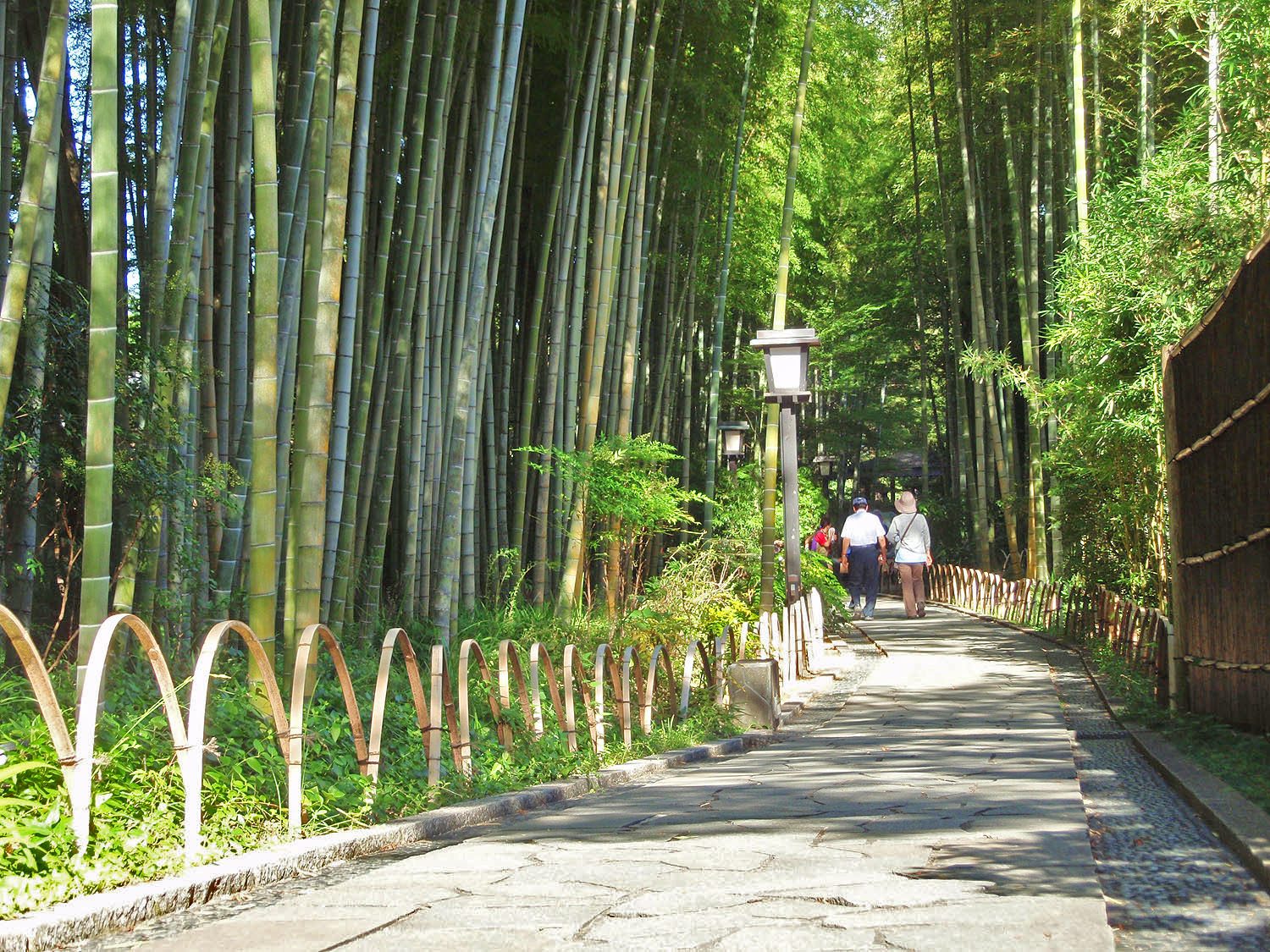 修善寺温泉街の竹林の小径