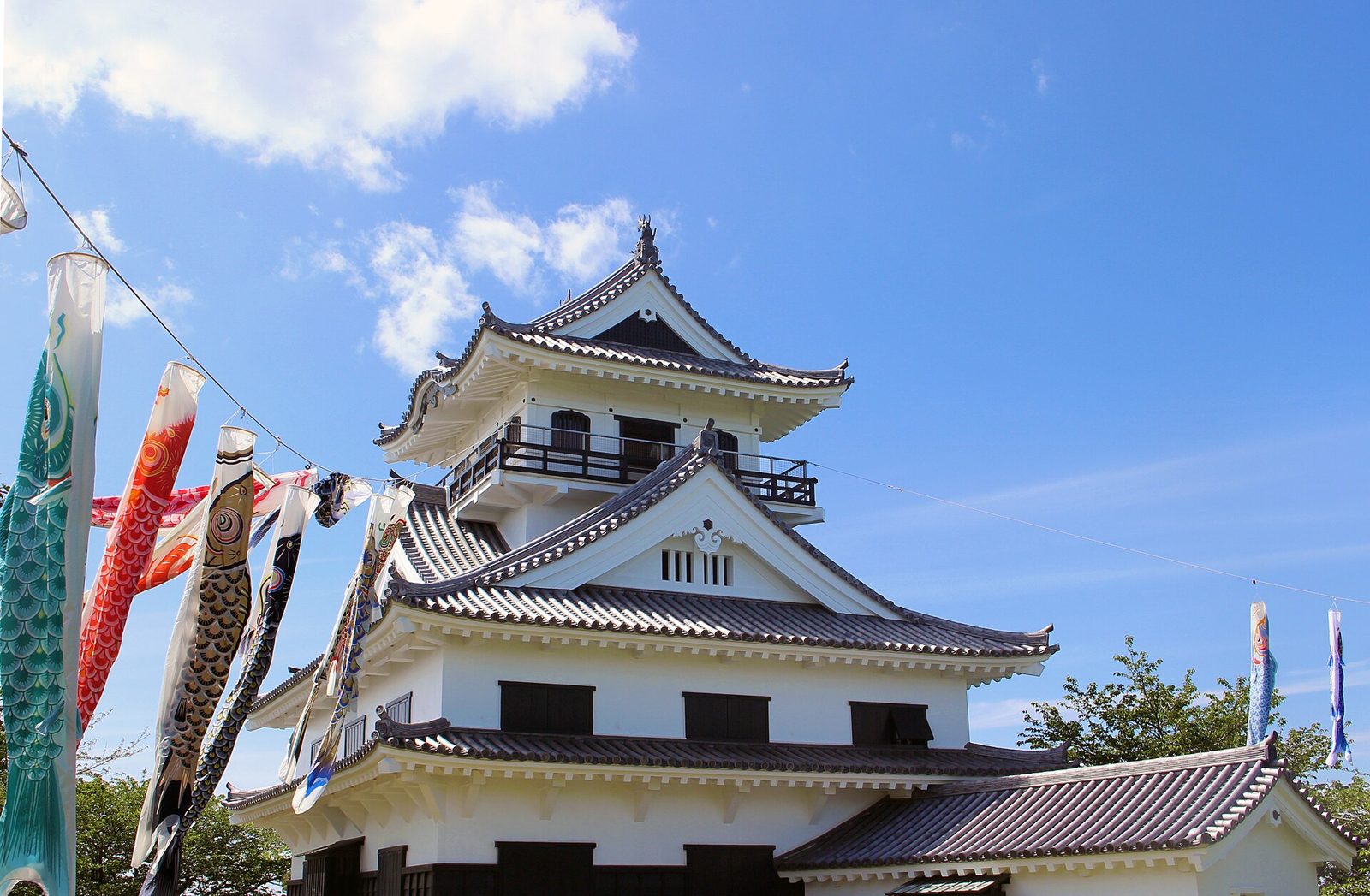城山公園に建つ館山城の天守