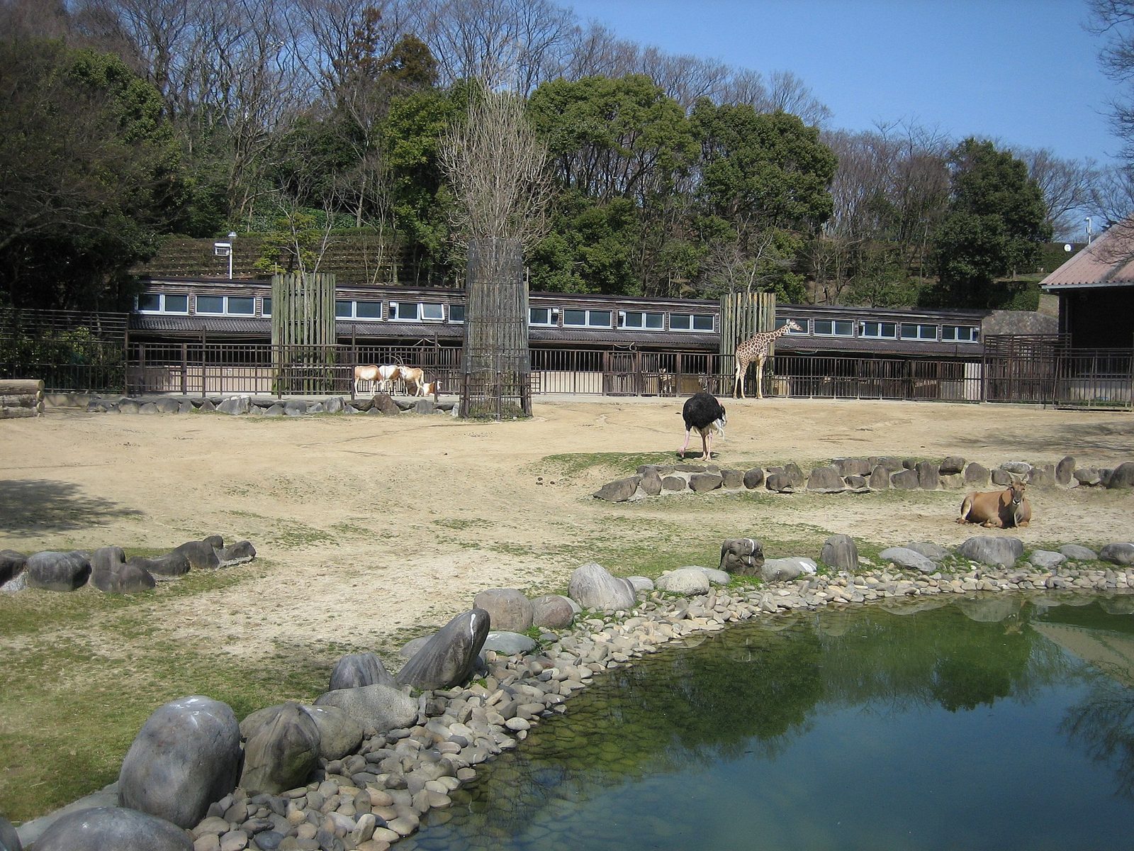 松山の子連れおでかけ3選｜とべ動物園・えひめこどもの城・松山城リフトを料金と対象年齢つきで