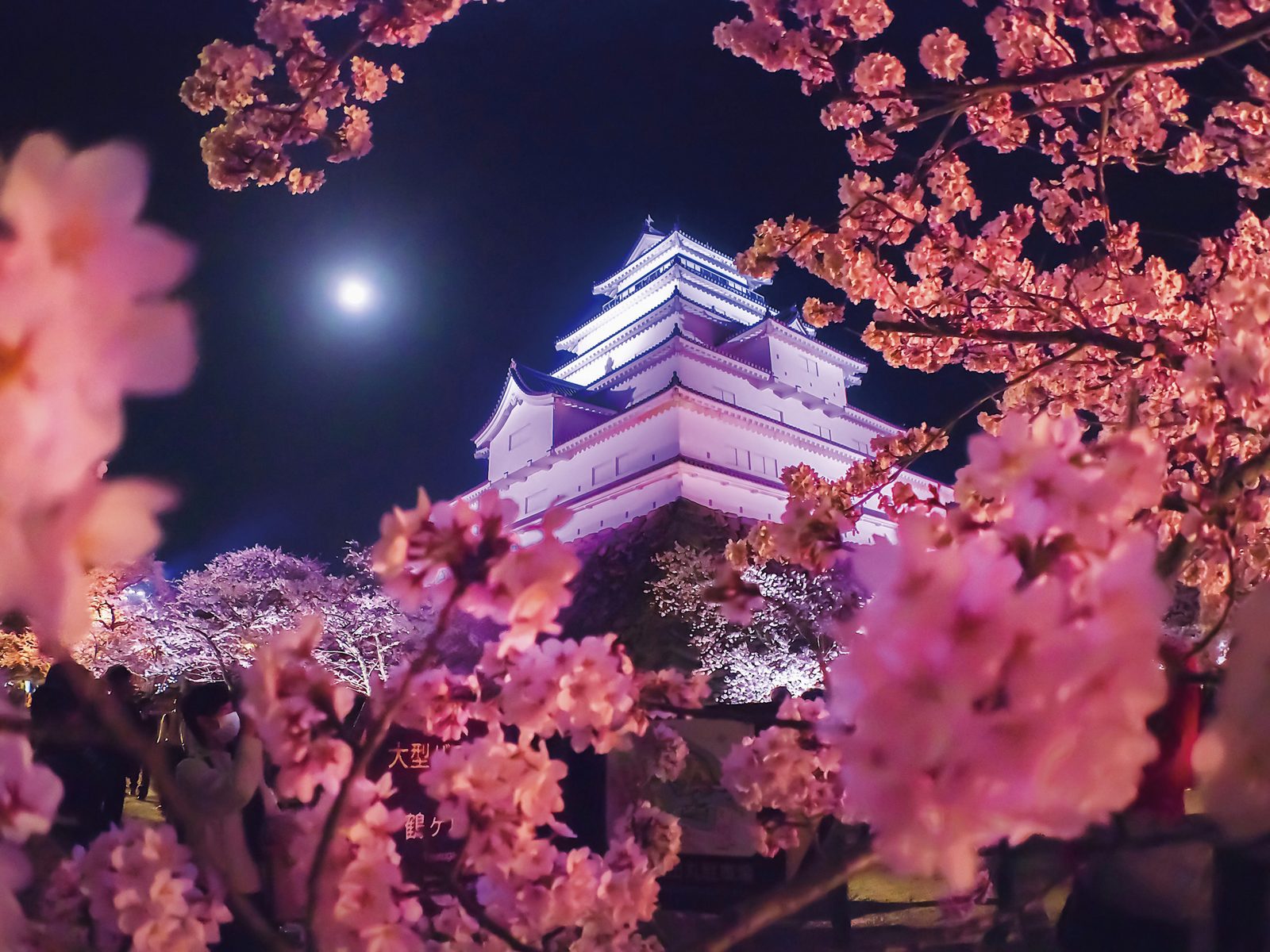 会津若松観光モデルコース【4月・1日】鶴ヶ城の桜と白虎隊・周遊バスで巡る費用つき行程表