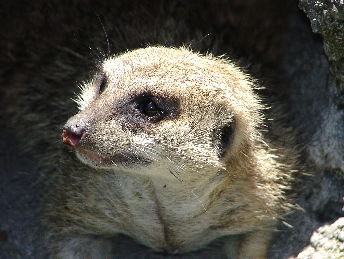 アドベンチャーワールドの所要時間と回り方｜授乳室・ベビーカー・再入園