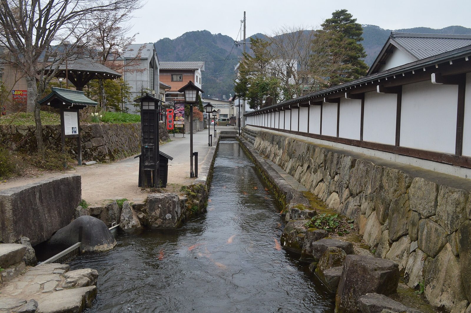 飛騨古川の食べ歩き半日コース｜白壁土蔵街と瀬戸川の鯉1000匹