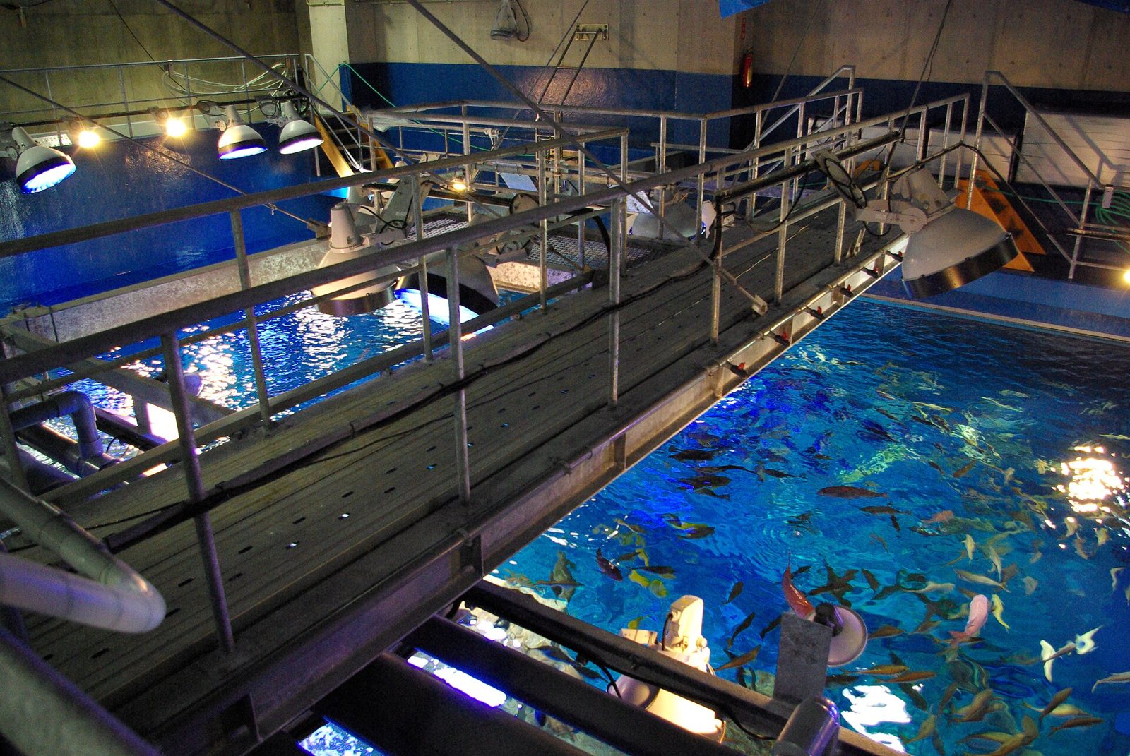 男鹿水族館GAOの所要時間と回り方｜入館料1,300円・夏期と冬期の営業時間