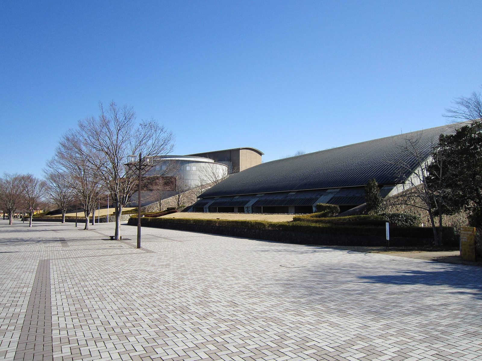 群馬県立自然史博物館の所要時間と回り方｜常設展は6セクション構成