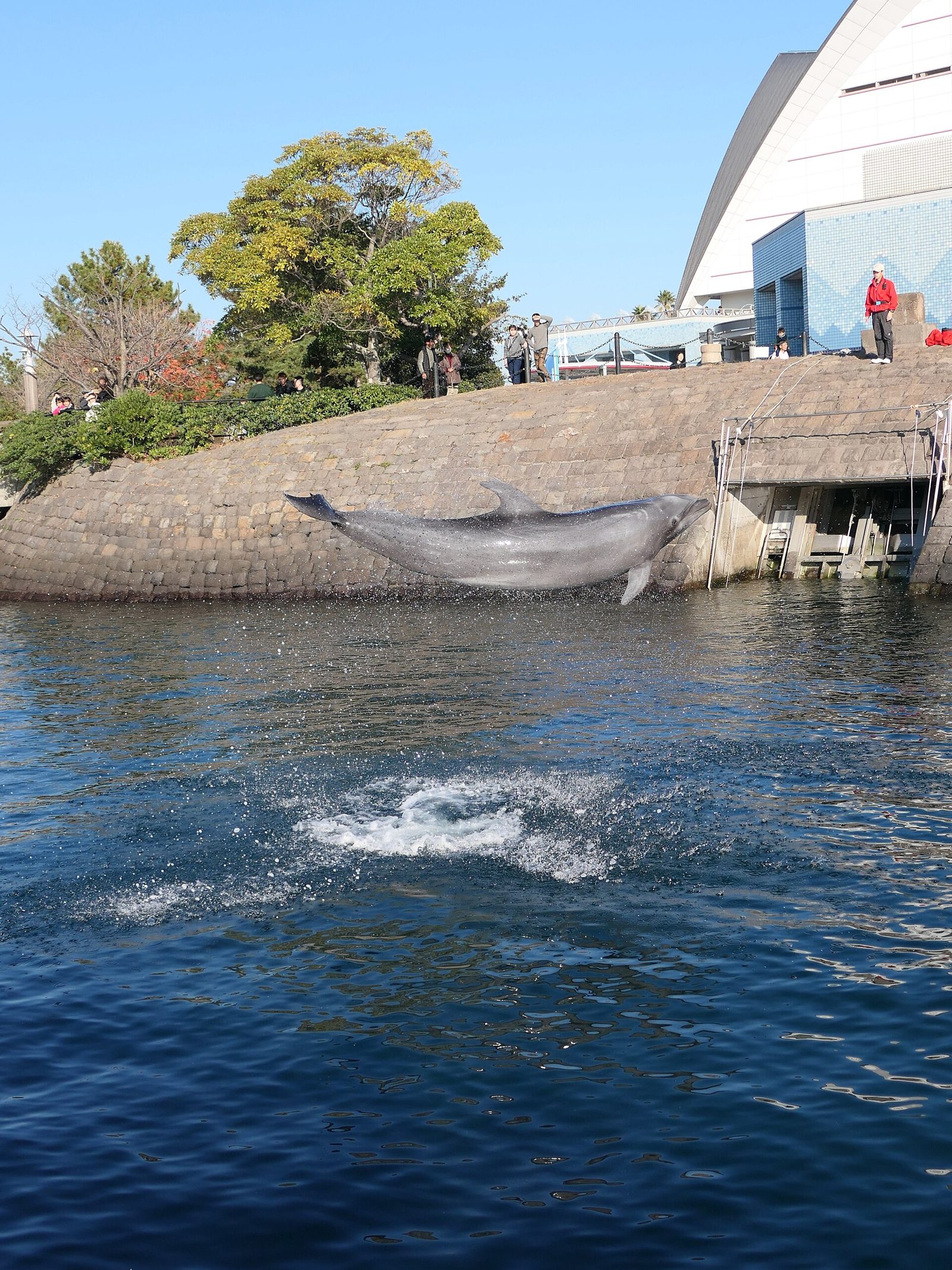 かごしま水族館の所要時間と回り方｜平均1時間30分の中身