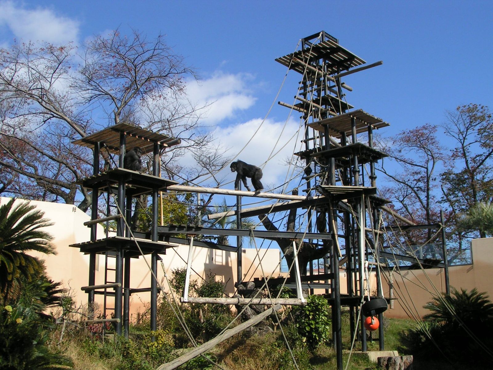 かみね動物園の所要時間と回り方｜入園は閉館45分前まで
