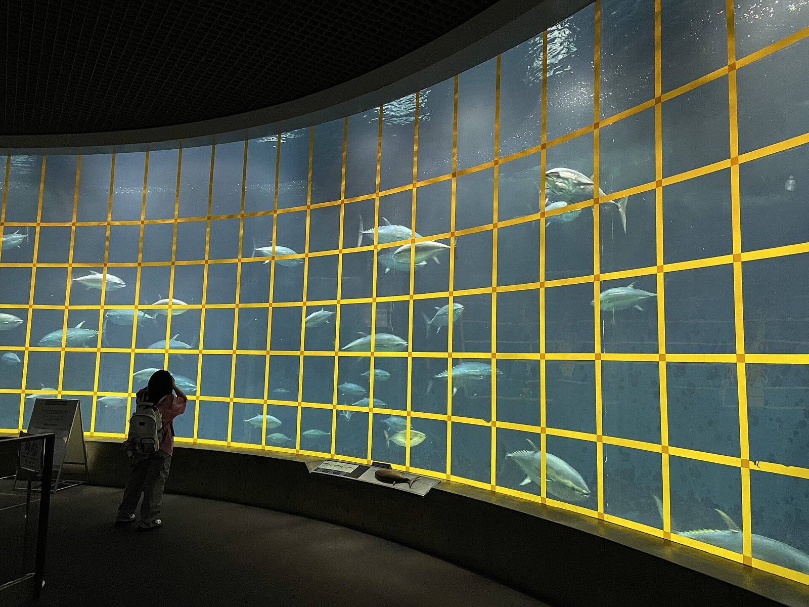葛西臨海水族園の所要時間と回り方｜ベビーカーと授乳室