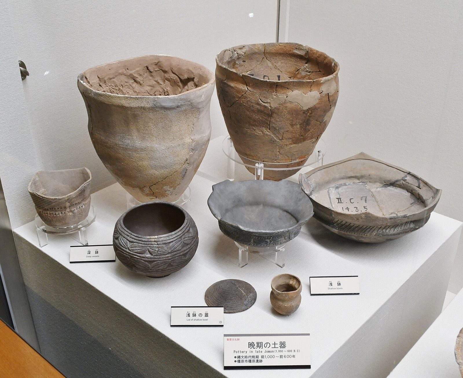 橿原考古学研究所附属博物館の所要時間と回り方｜特別展「ウマと馬具」料金と3展示室