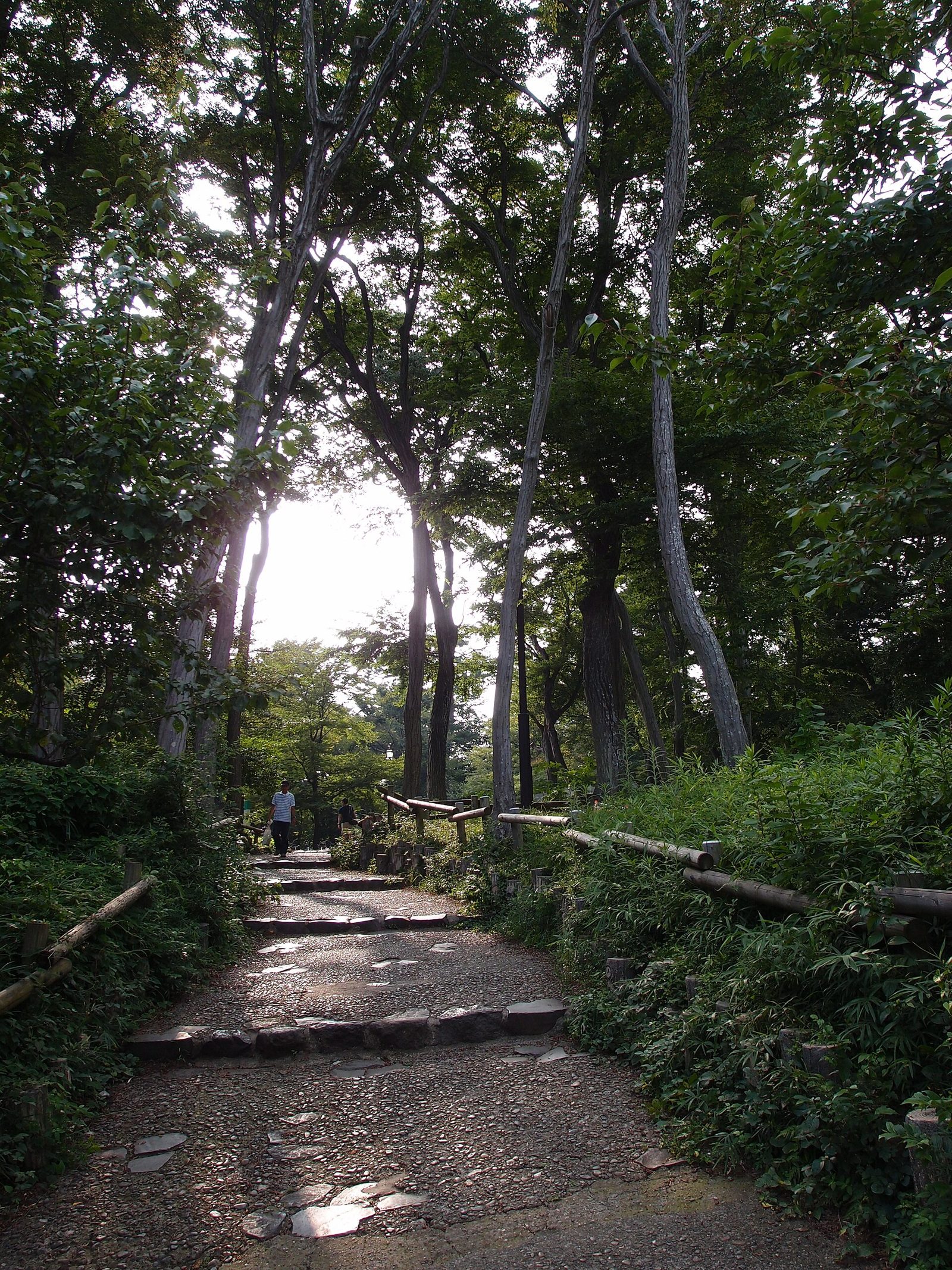 吉祥寺の食べ歩き半日コース｜ハモニカ横丁から井の頭公園まで歩く