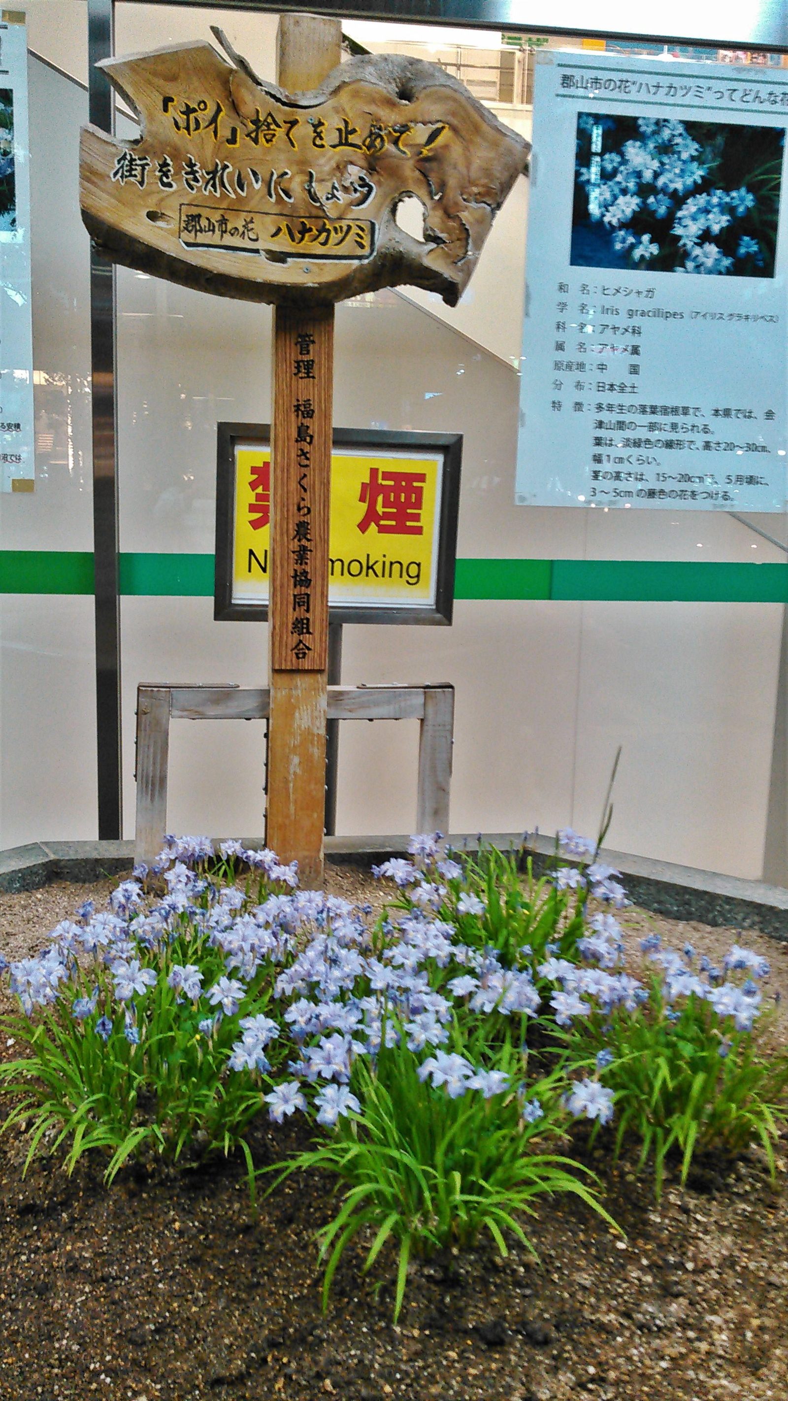 郡山駅の待ち時間｜1時間・3時間・半日の過ごし方と料金一覧