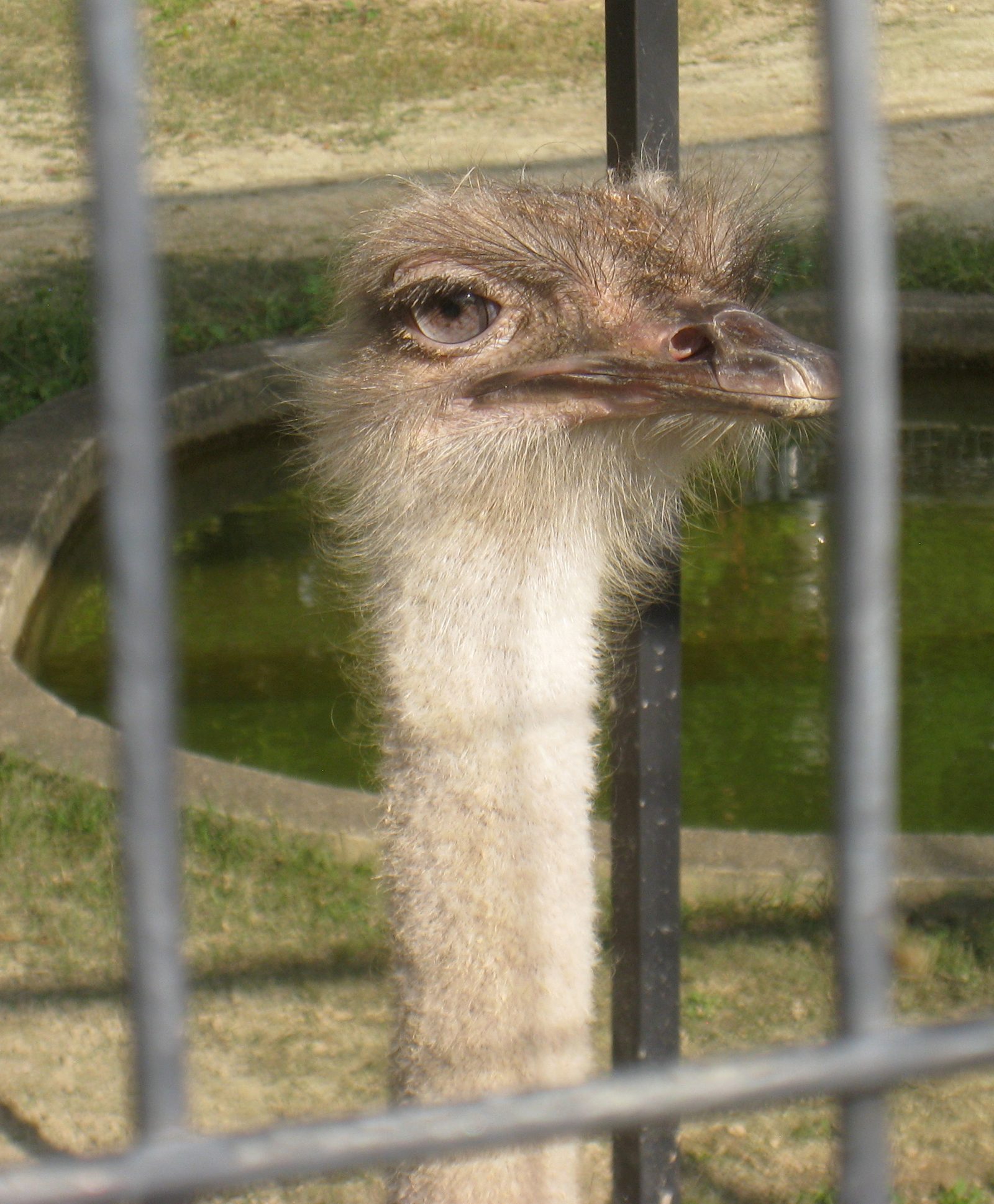 京都市動物園の所要時間と回り方｜授乳室3箇所・入園750円