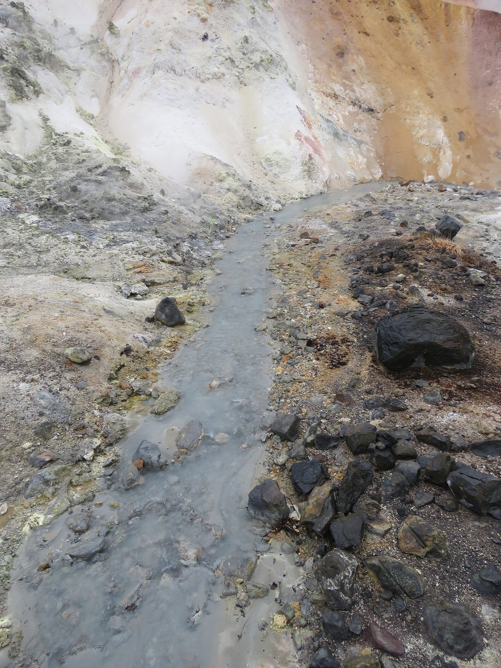 登別温泉の食べ歩き半日コース｜ランチと地獄谷・天然足湯
