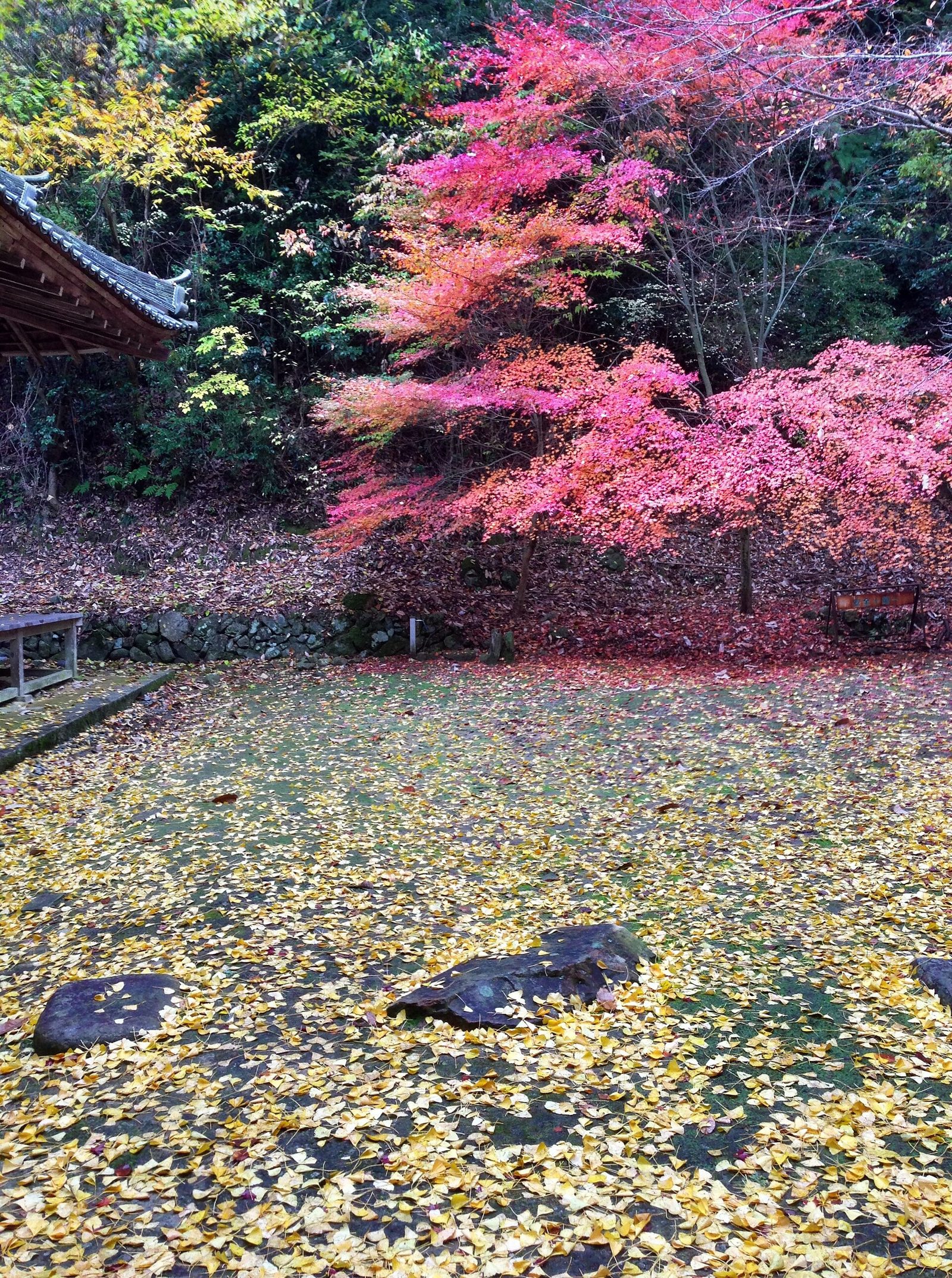 佛通寺の紅葉へ車なしで｜11月の見頃・本郷駅からのアクセス