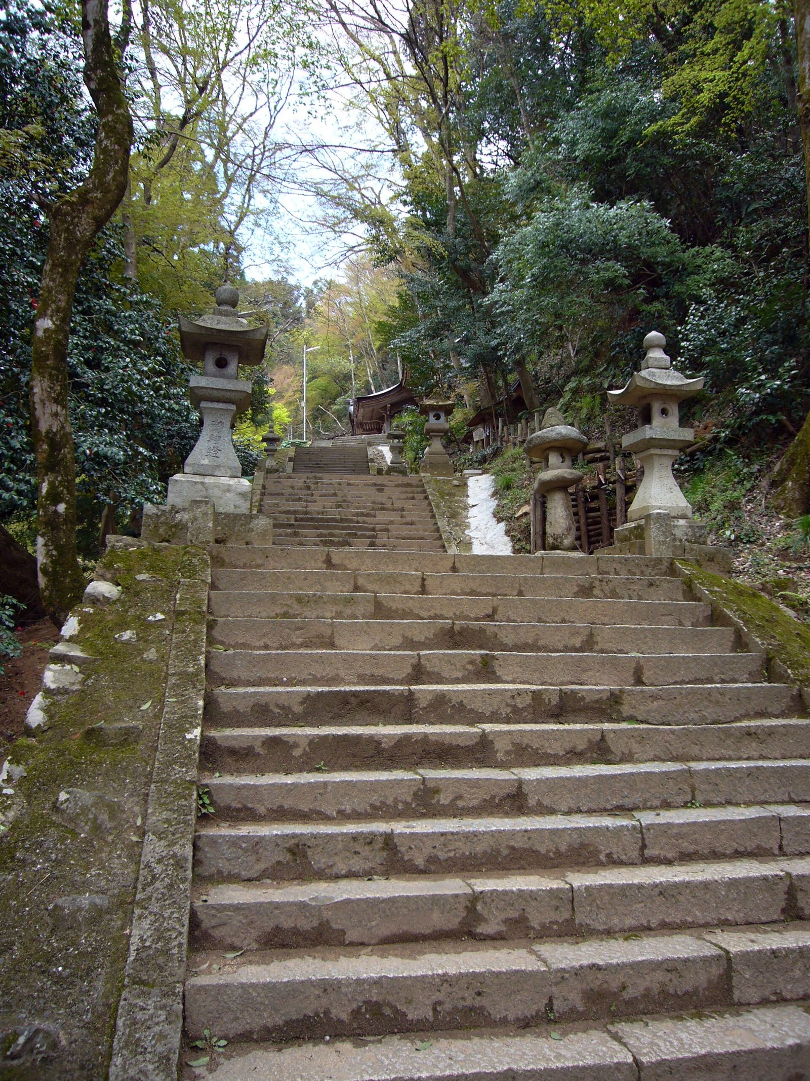諏訪神社（智頭）の紅葉へ車なしで｜11月の見頃・徒歩アクセス