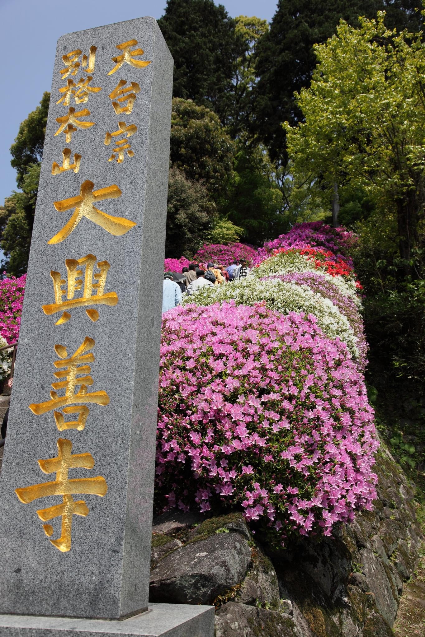 大興善寺の紅葉アクセス｜車なしで行く11月の見頃と臨時バス