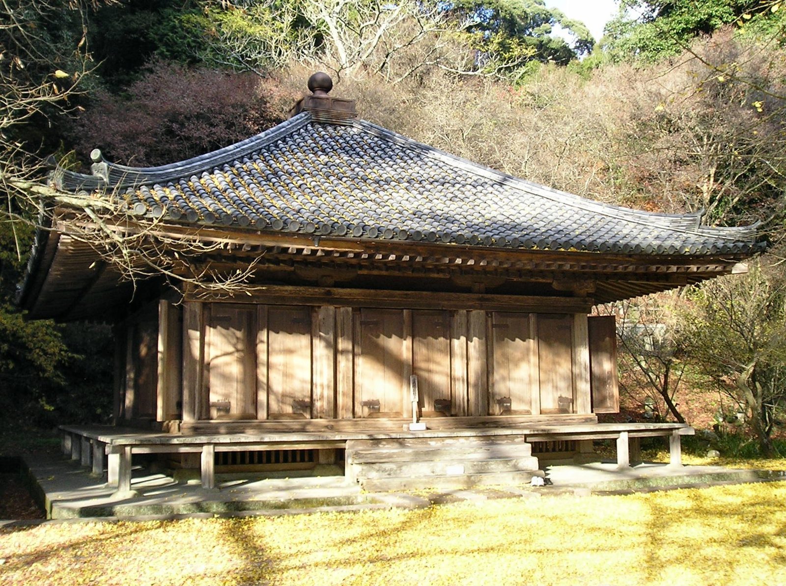 富貴寺の紅葉へ車なしで行く方法｜11月下旬の見頃と曜日別アクセス
