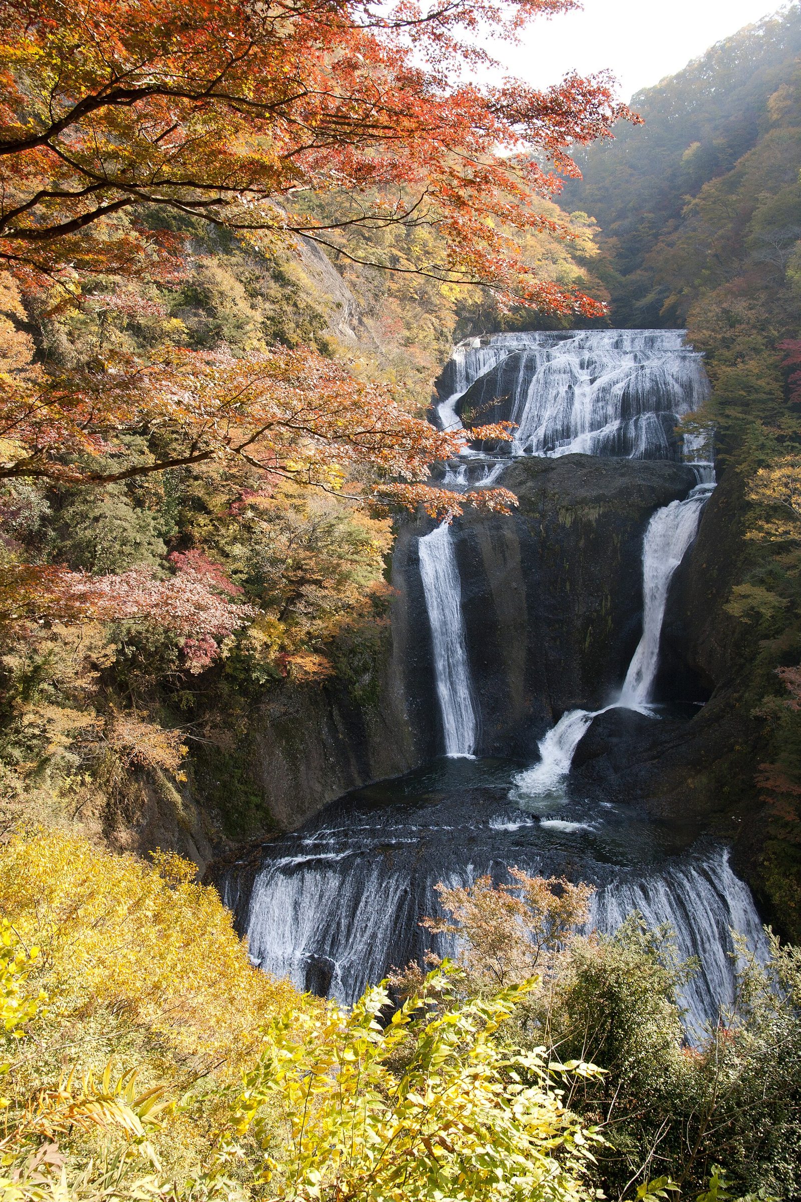 袋田の滝の紅葉へ車なしで｜11月の見頃とバスアクセス