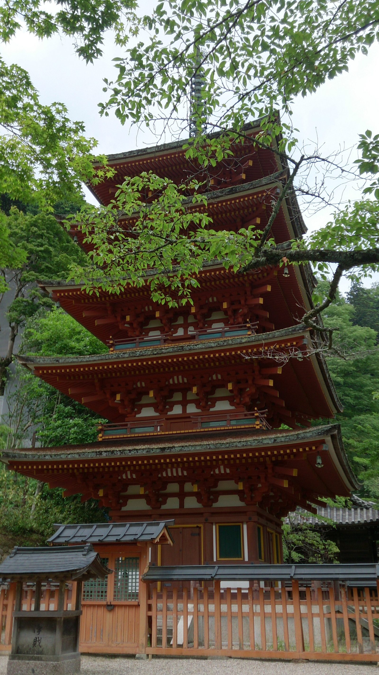 長谷寺(奈良)の紅葉へ車なしで行く方法｜10月から入山は9時開始・入山料500円