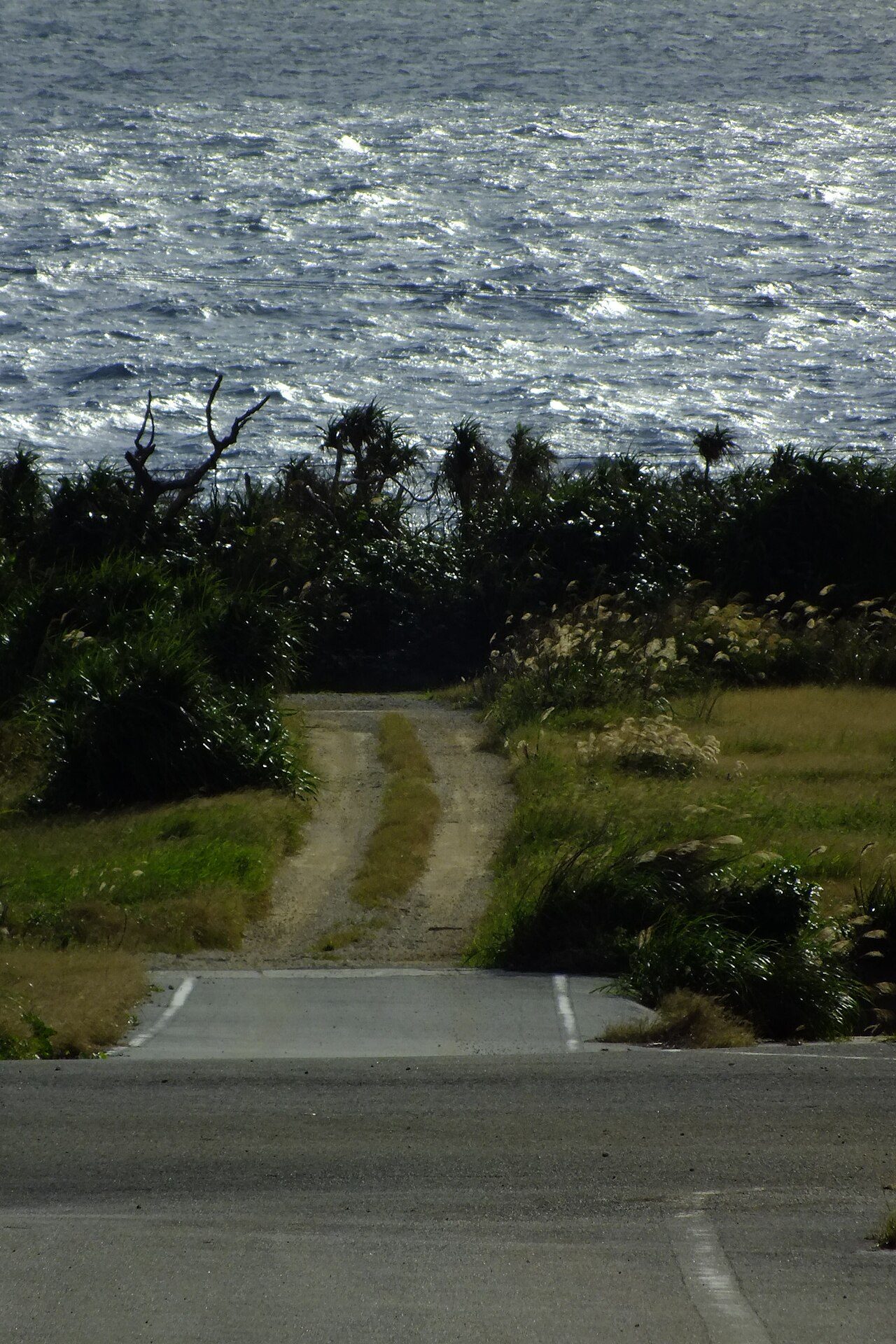 波照間島を車なしで回る｜自転車で半日・高速船片道4,990円