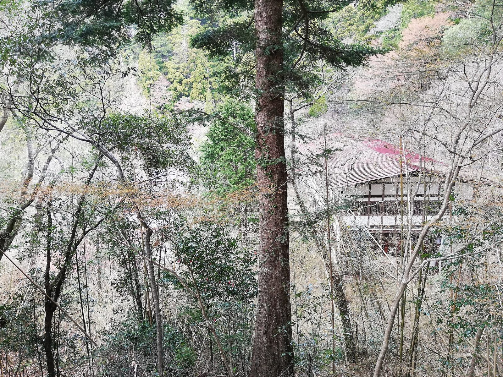 鳳来寺山を車なしで登る｜本長篠駅からバス200円と石段1425段