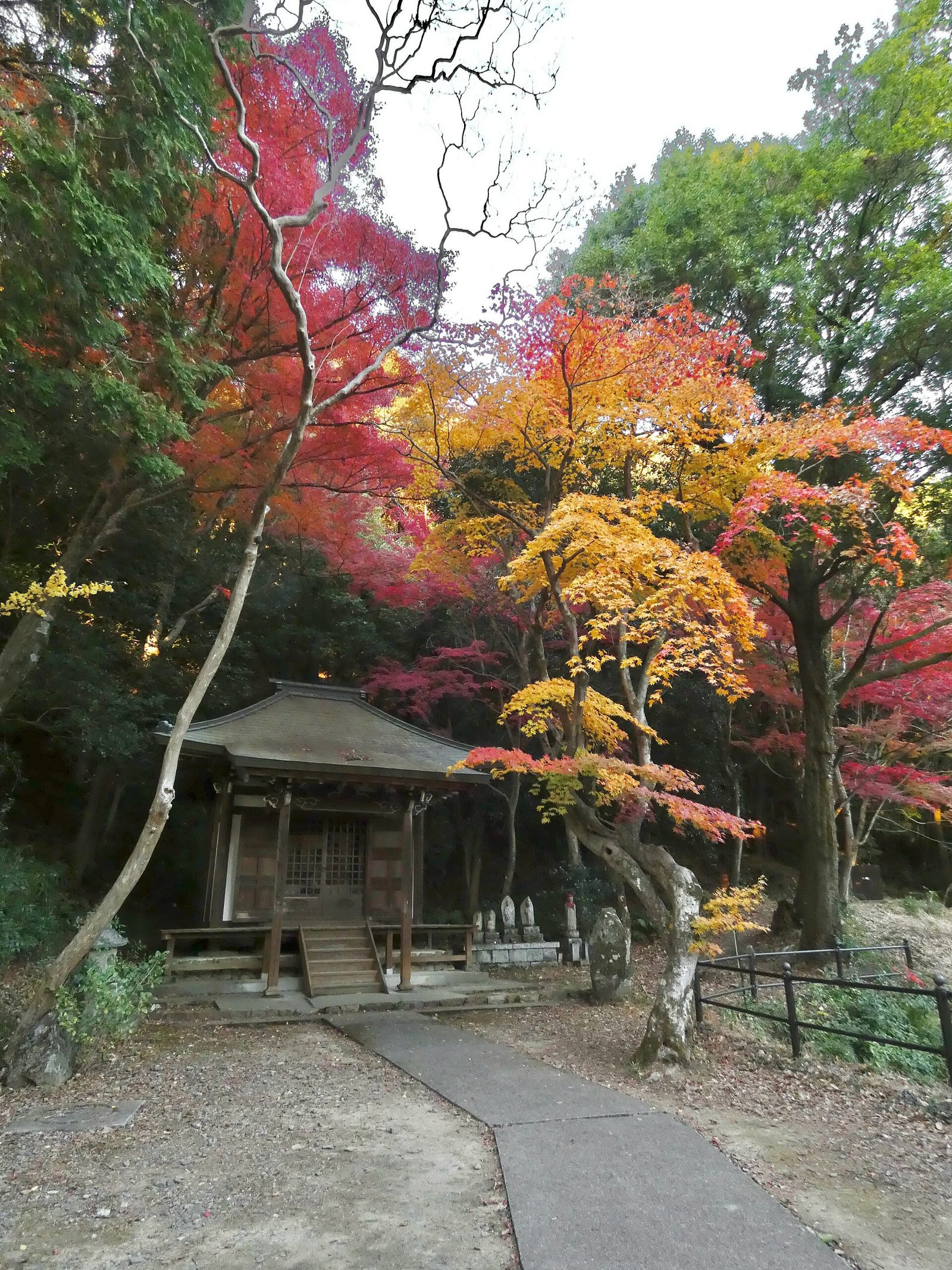 定光寺の紅葉へ車なしで行く方法｜見頃11月中旬・定光寺駅から徒歩15〜20分