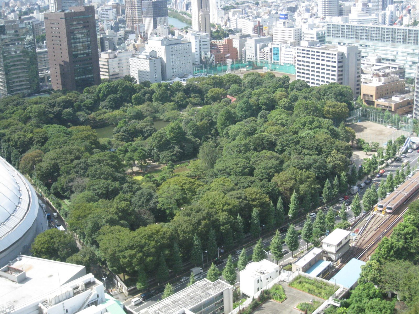 小石川後楽園の紅葉へ車なしで行く方法｜東門は水道橋駅から徒歩5分・夜間特別開園は11月13日から