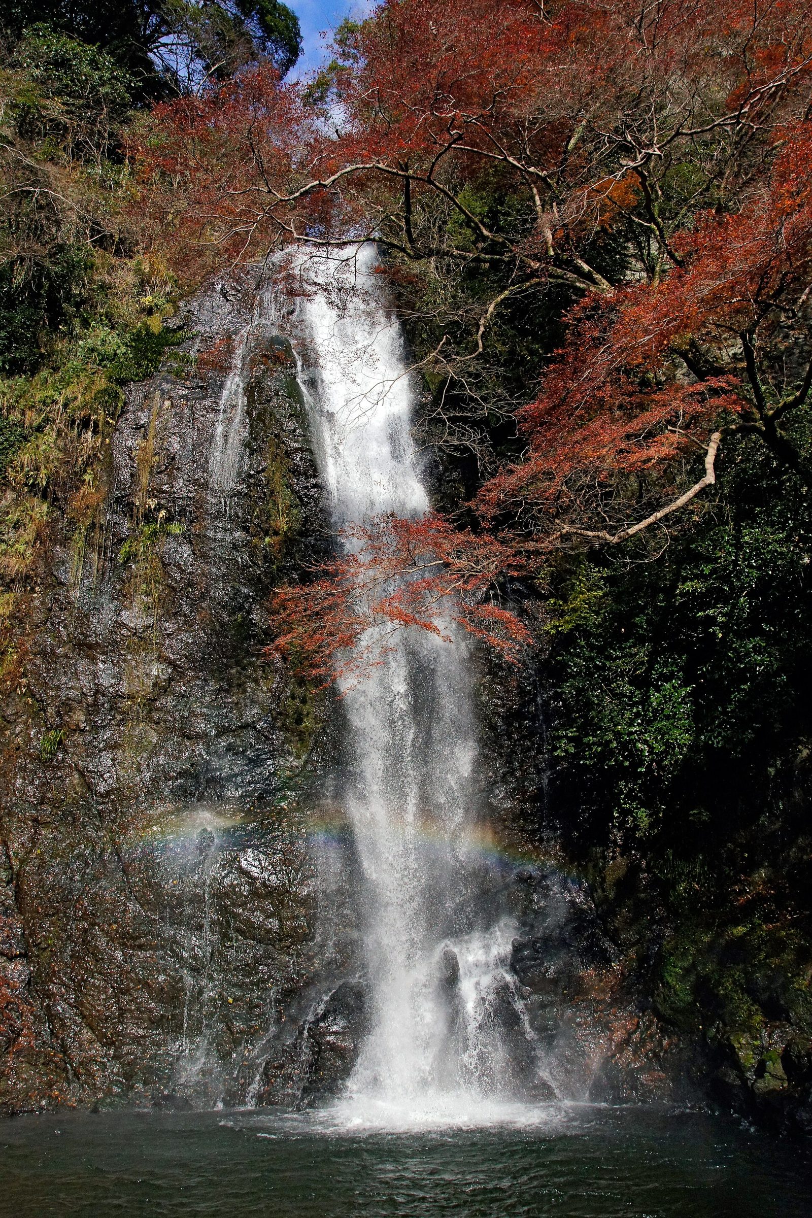 箕面大滝の紅葉へ車なしで行く方法｜見頃11月中旬〜12月初旬・滝道徒歩40分