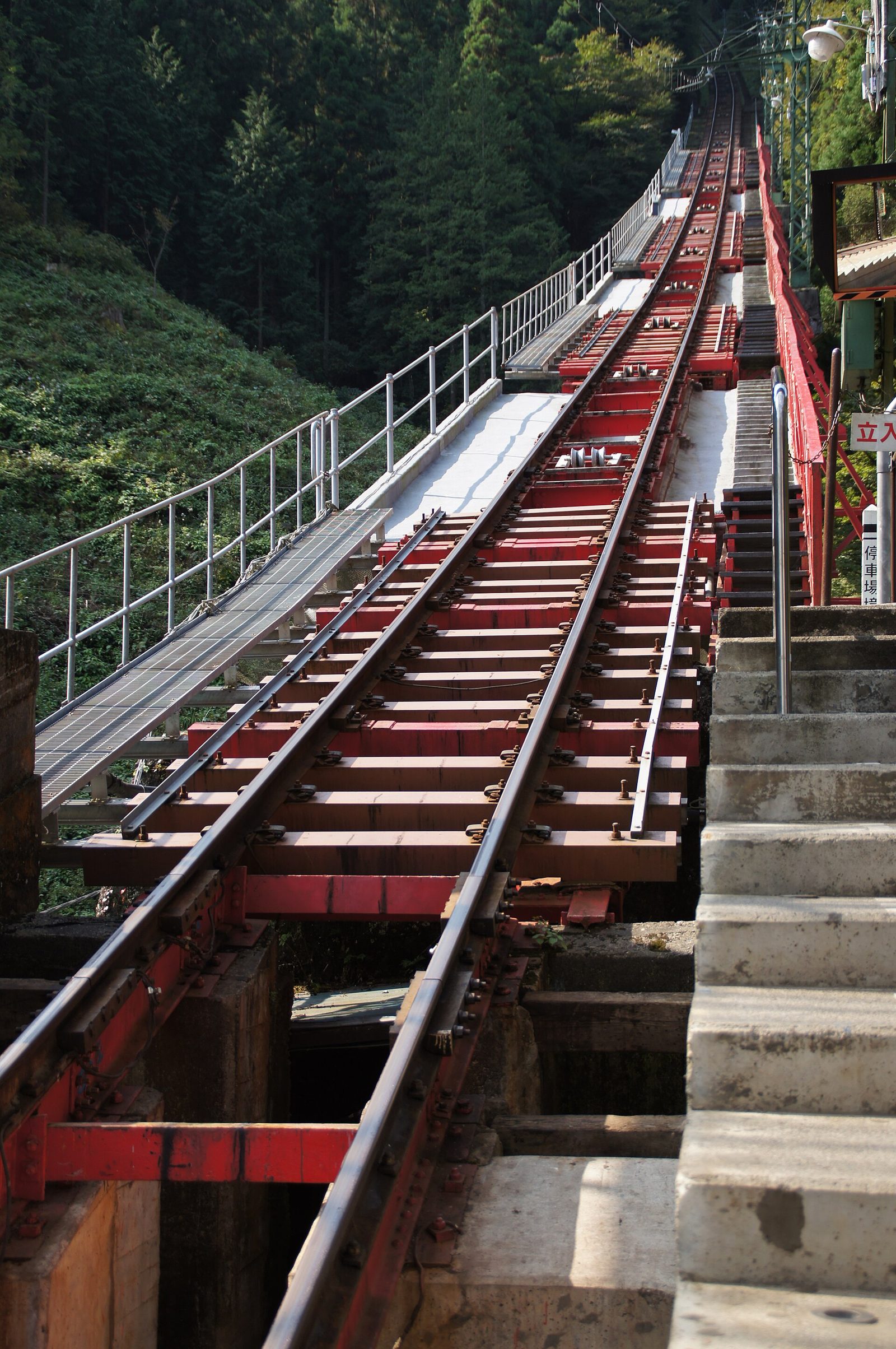 御岳山の紅葉へ車なしで行く方法｜見頃は例年11月上旬〜中旬・ケーブルカー運賃は10月1日改定