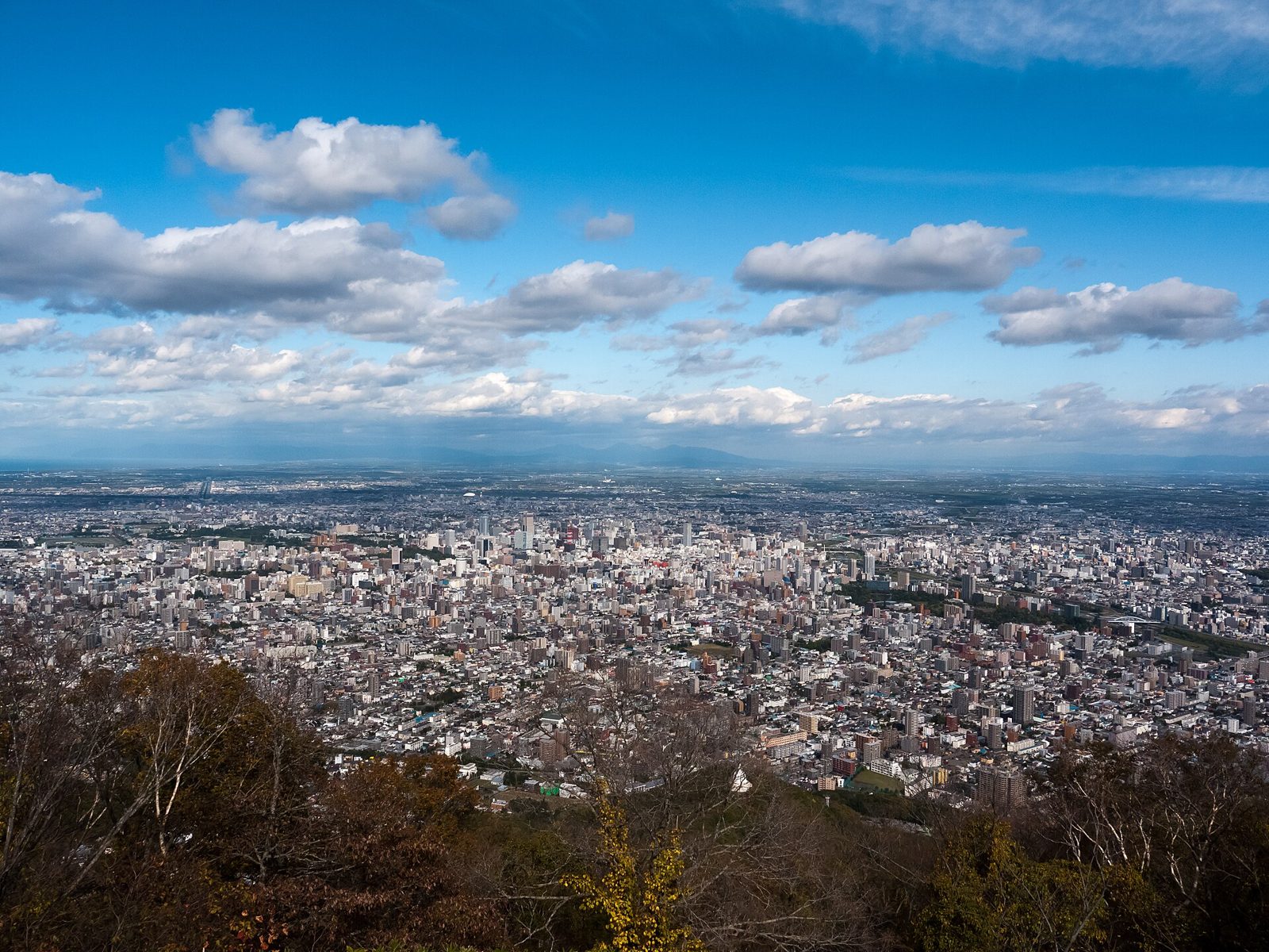 藻岩山の紅葉へ車なしで行く方法｜円山公園駅からバスと10月16日開始の定期観光バス