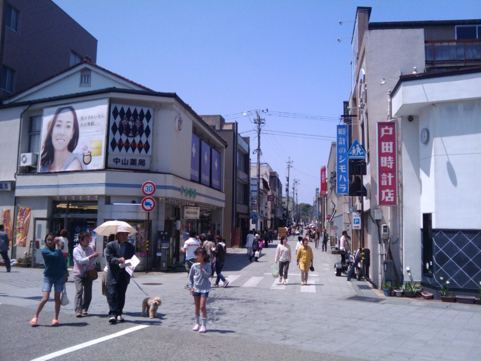 七尾を車なしで観光｜七尾駅から市内循環バスまりん号1回100円