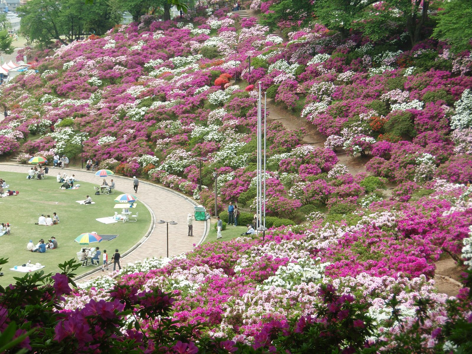 西山公園の紅葉へ車なしで行く方法｜11月が見頃・西山公園駅から徒歩1分