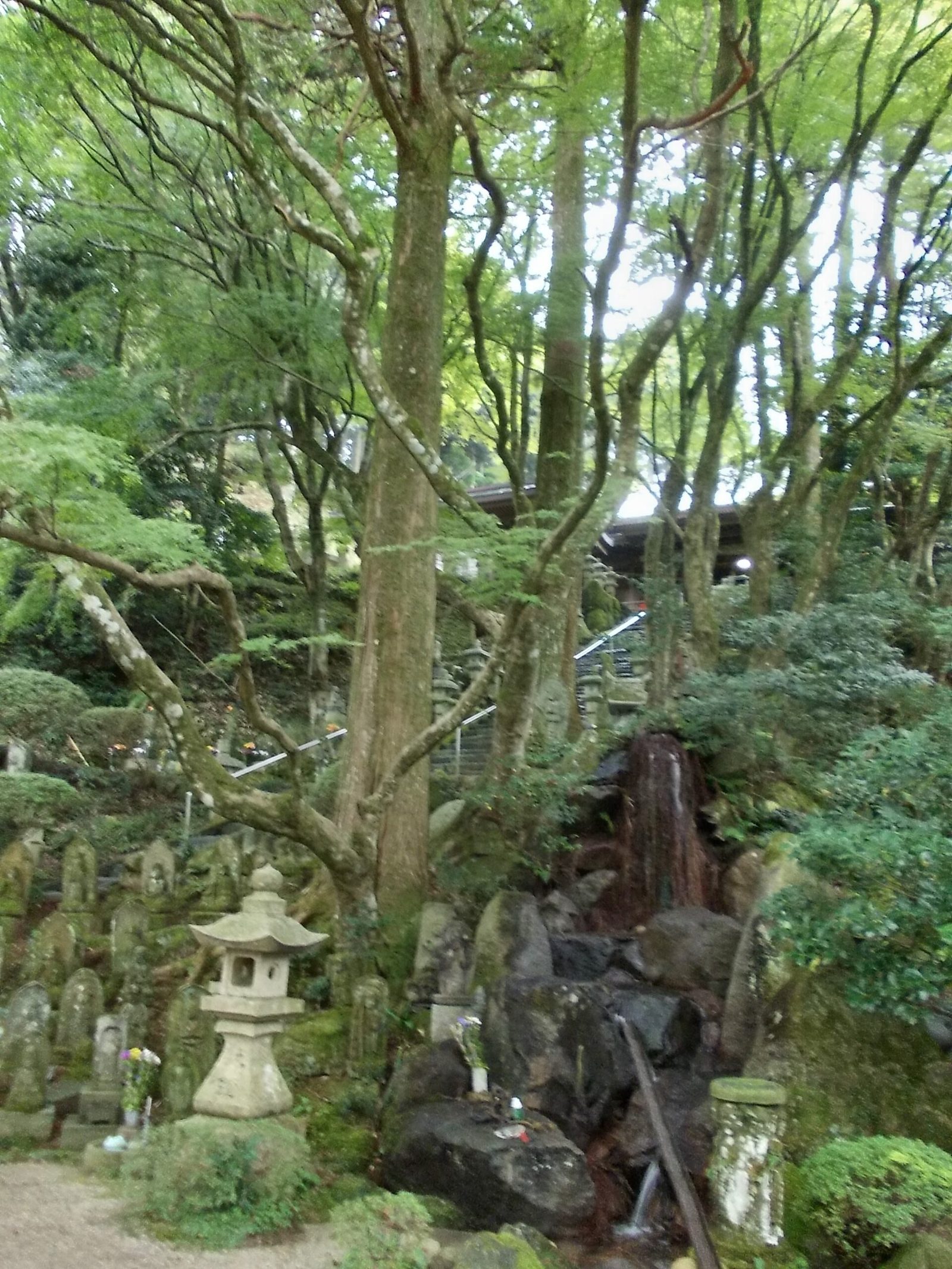 雷山千如寺の紅葉アクセス｜車なしで11月の大カエデを見に行く