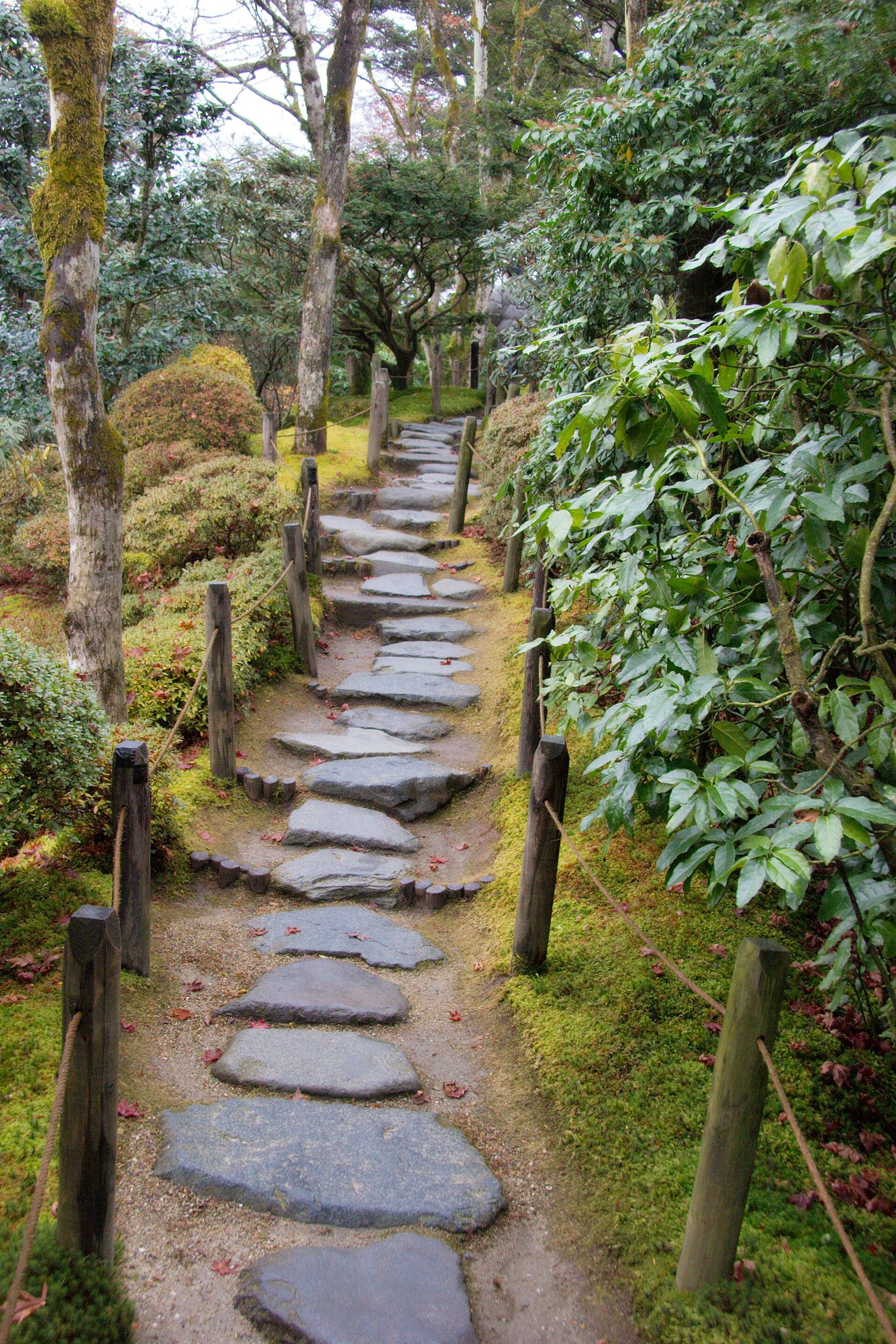 日光輪王寺逍遥園の紅葉へ車なしで行く方法｜2026年ライトアップ10/23〜11/8・拝観料500円