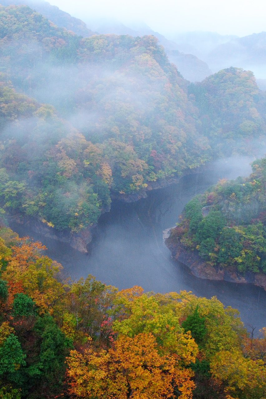 竜神峡の紅葉へ車なしで｜11月の見頃と大吊橋バスアクセス