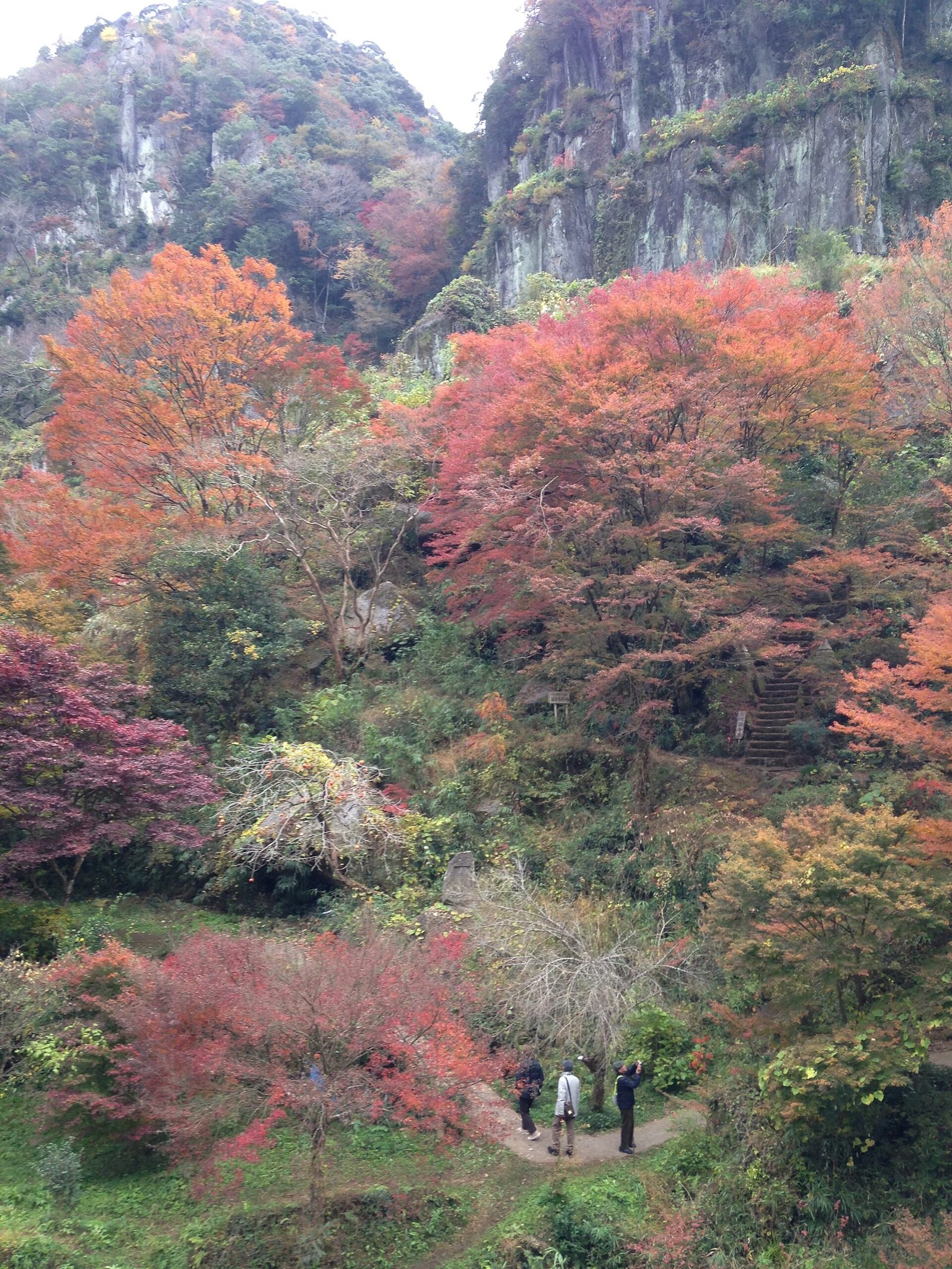 深耶馬溪の紅葉へ車なしで行く方法｜11月の見頃と平日バスアクセス