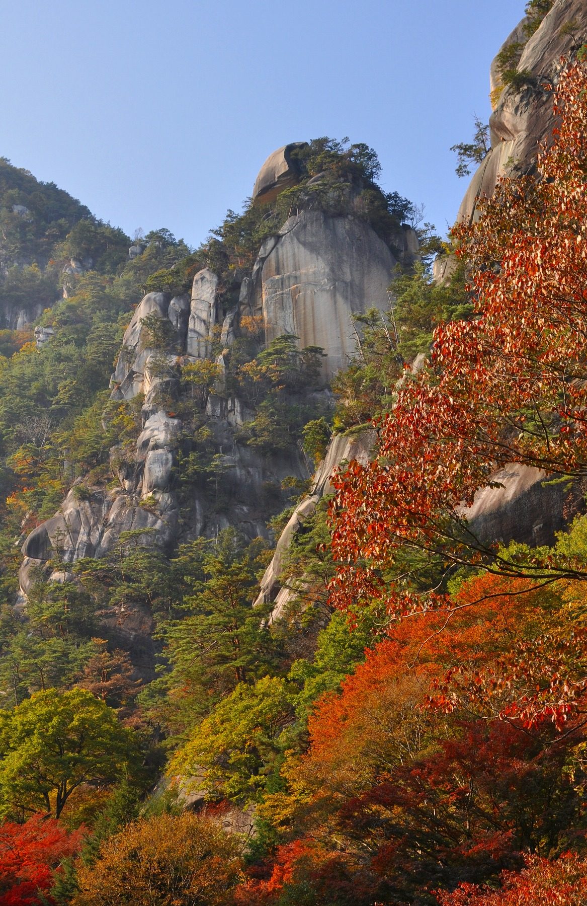 昇仙峡の紅葉へ車なしで行く方法｜見頃11月上旬〜中旬・紅葉シーズン限定の快速バス