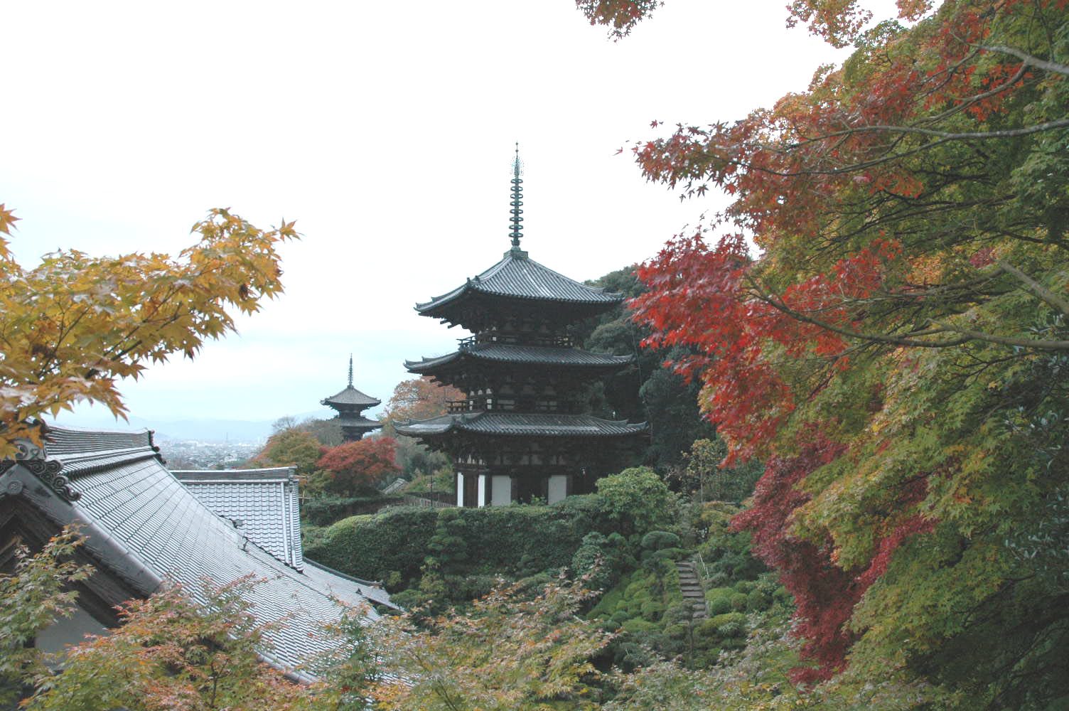 當麻寺の紅葉へ車なしで行く方法｜當麻寺駅から徒歩約15分・11月13日から障壁画の特別公開