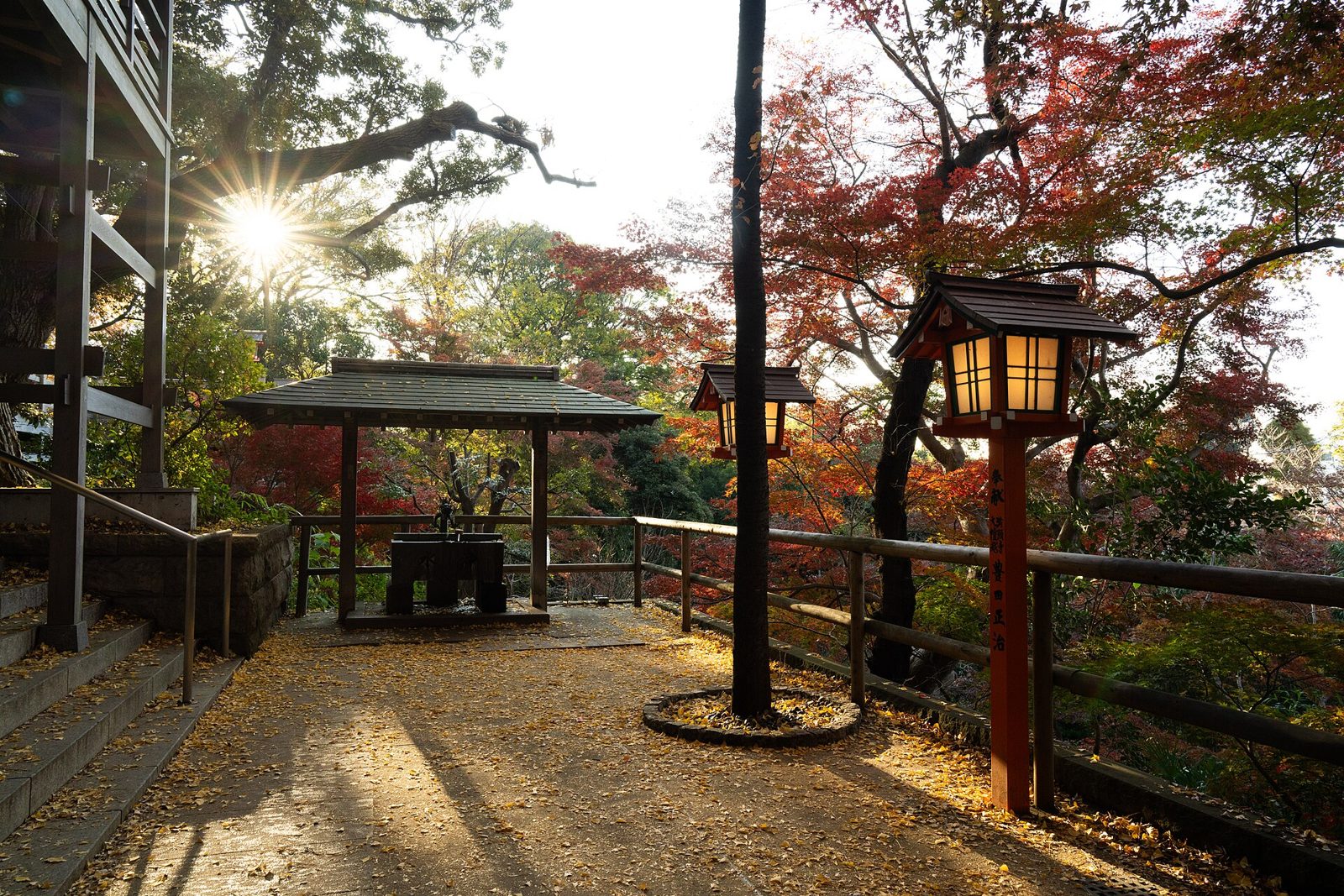 等々力渓谷の紅葉へ車なしで｜11月下旬〜12月上旬の見頃・等々力駅から徒歩3分