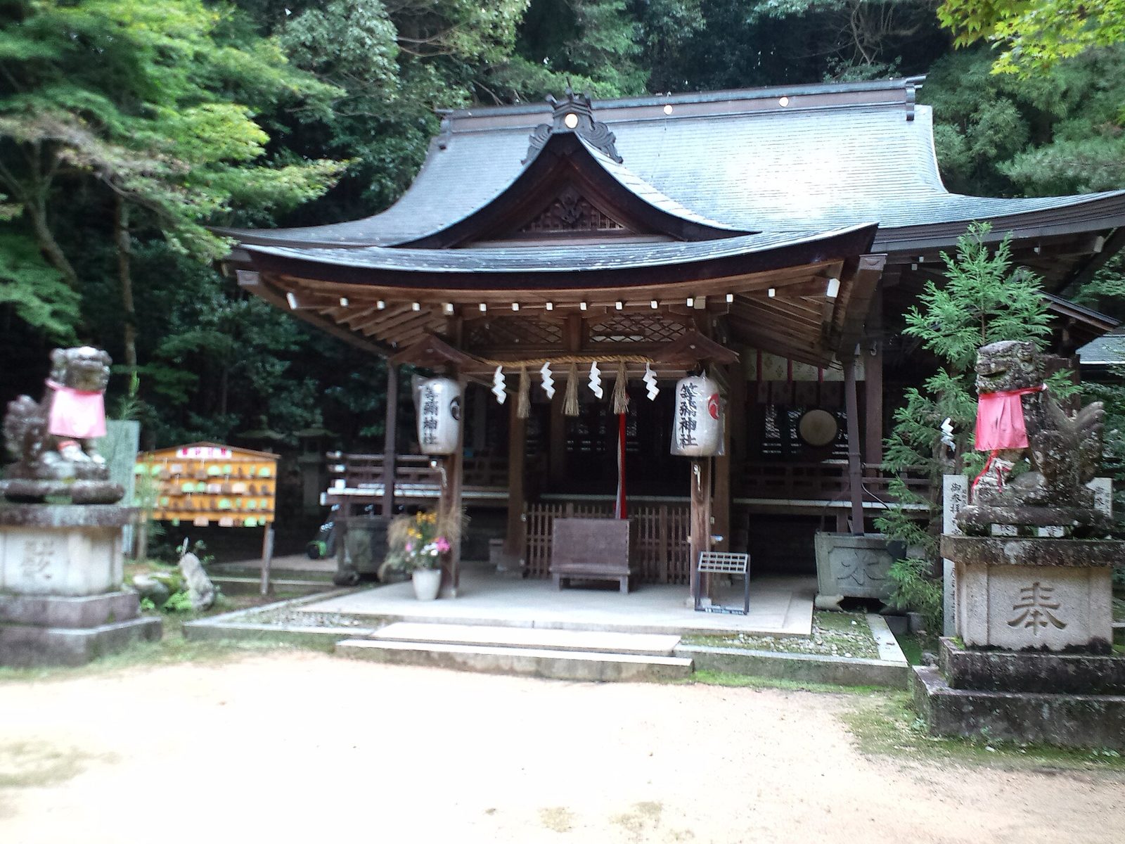 等彌神社の紅葉へ車なしで行く方法|見頃と献灯祭ライトアップの交通