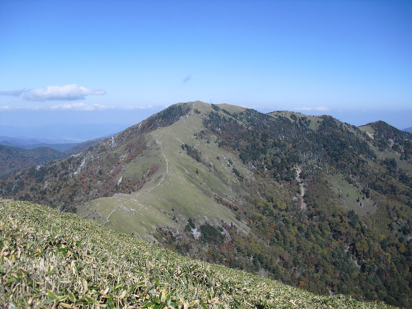 剣山の紅葉へ車なしで行く方法｜10月の見頃と登山バスのアクセス