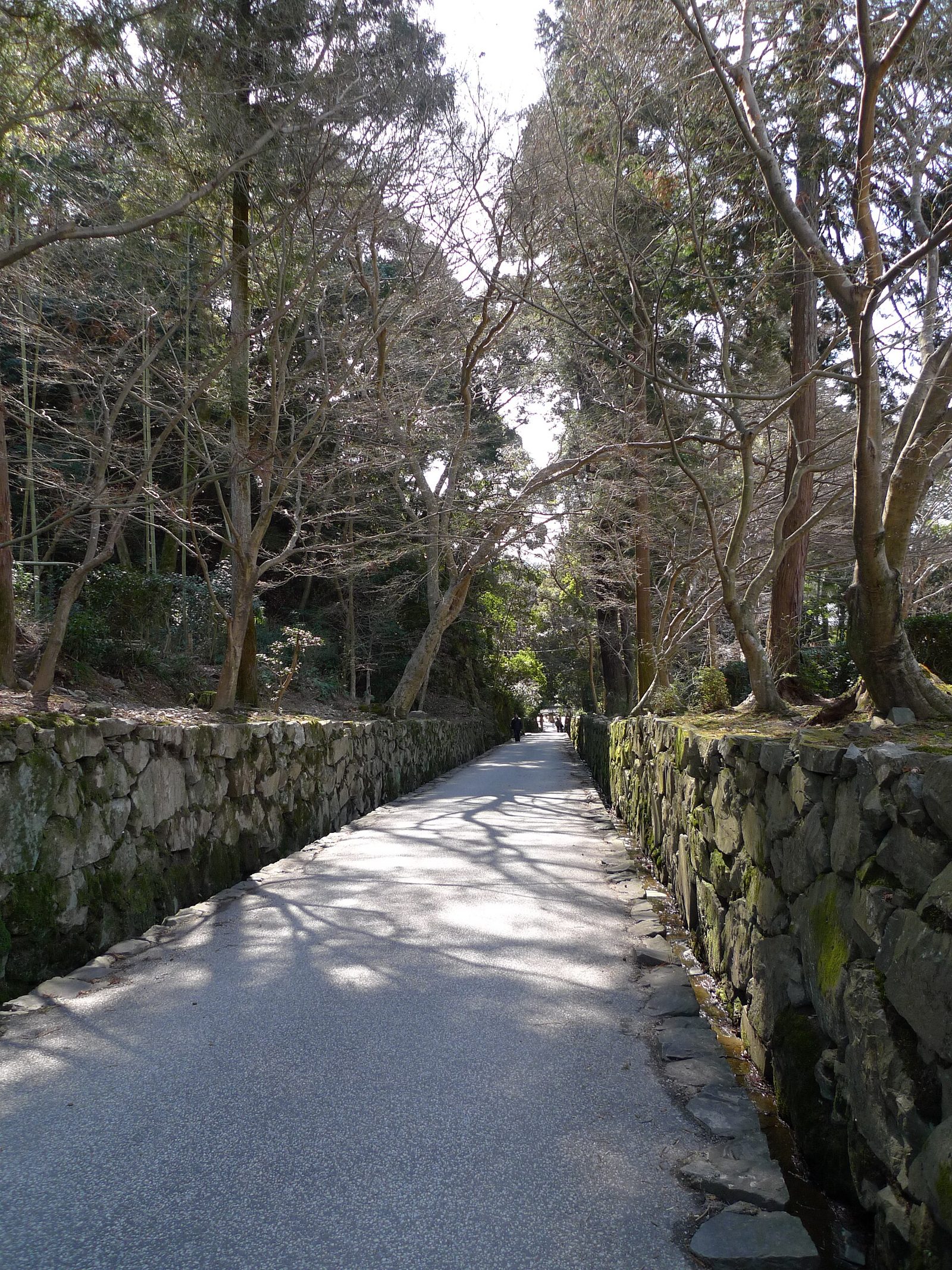 宇治・興聖寺の紅葉へ車なしで行く方法｜琴坂は京阪宇治駅から徒歩約20分