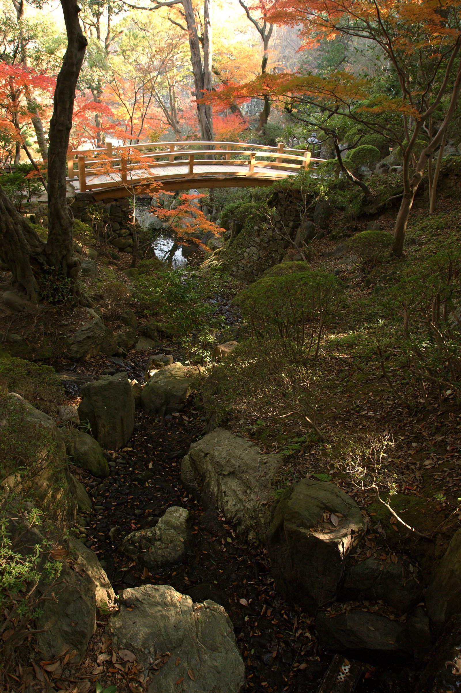 和歌山城の紅葉渓庭園へ車なしで行く方法｜見頃は11月下旬・JR和歌山駅からバス約10分