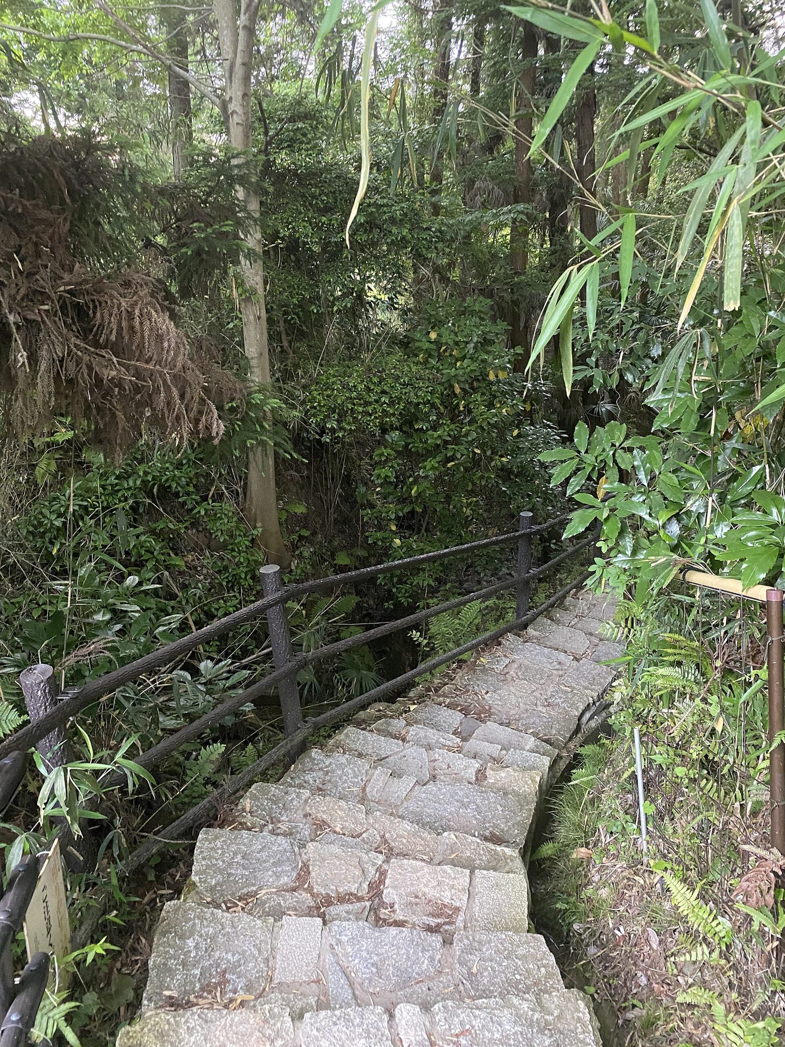 山の辺の道の紅葉へ車なしで行く方法｜天理駅から桜井駅まで約16km・長岳寺は例年11月中旬〜