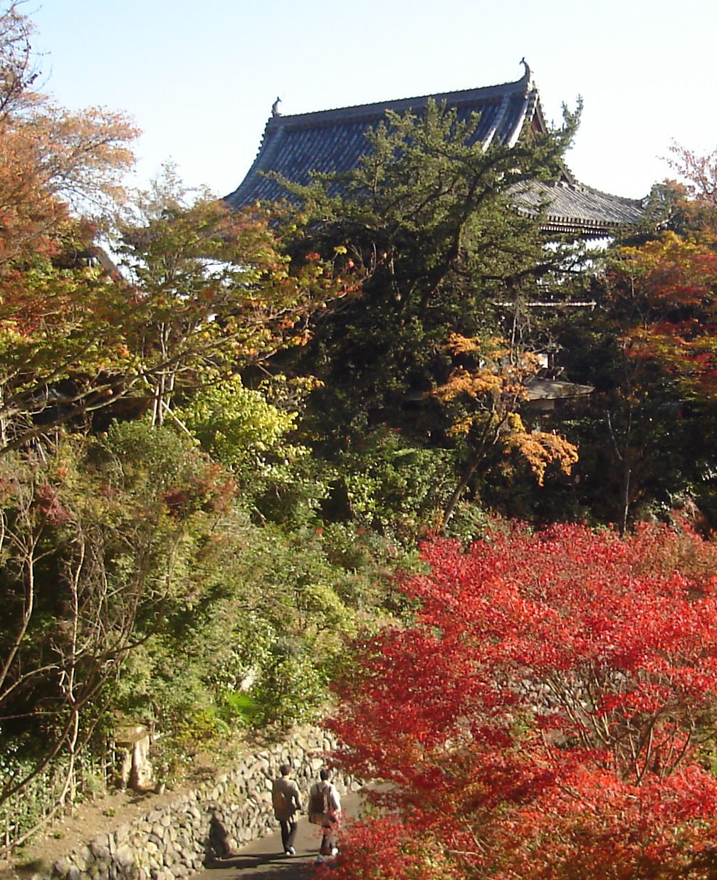 善峯寺の紅葉へ車なしで行く方法｜見頃11月中旬〜12月上旬・2026年は特別早朝開門も