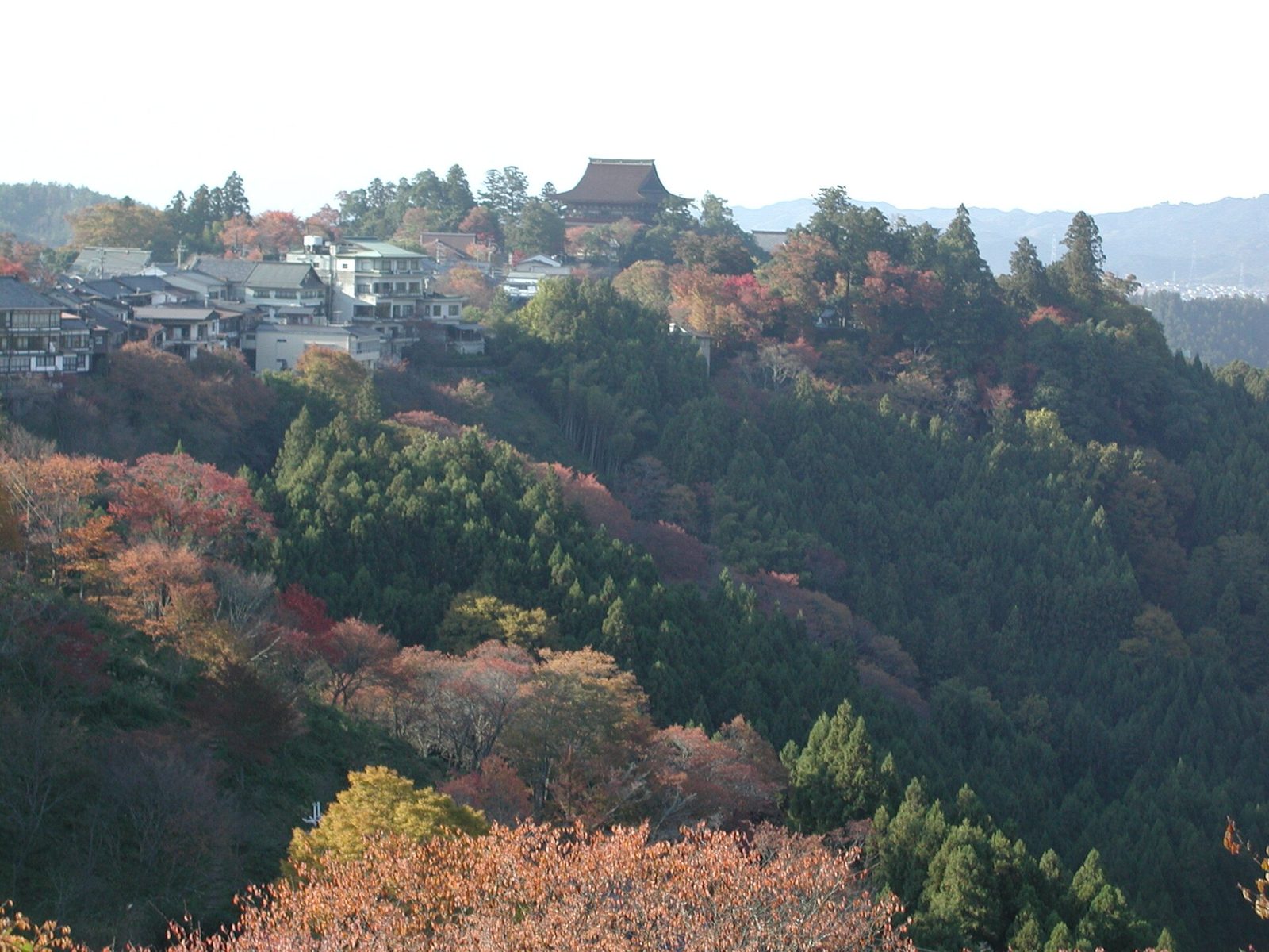 吉野山の紅葉へ車なしで行く方法｜ロープウェイ紅葉期間10/23〜11/30毎日運行