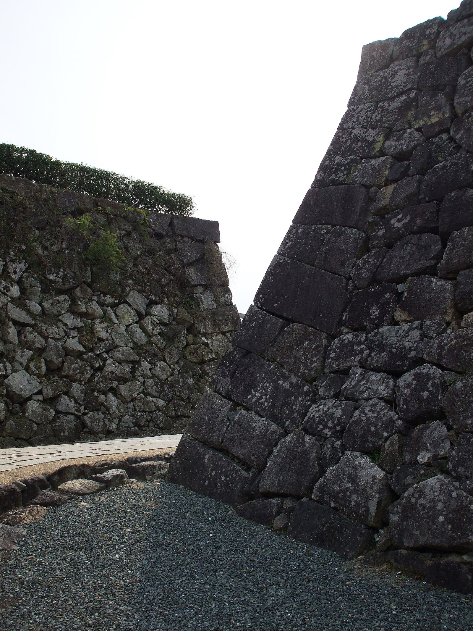 丹波篠山の食べ歩き半日コース｜黒豆パンと河原町妻入商家群を歩く