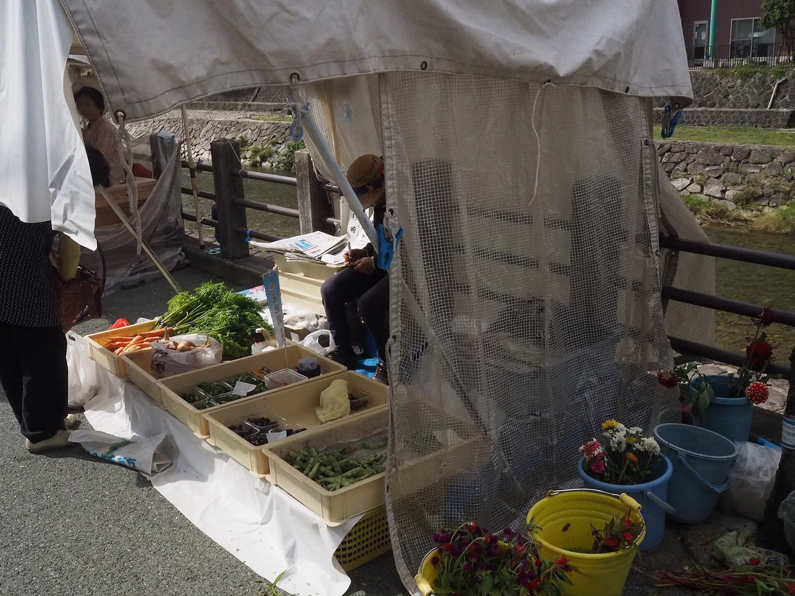 高山・宮川朝市の食べ歩き半日コース｜古い町並みと中橋の午前